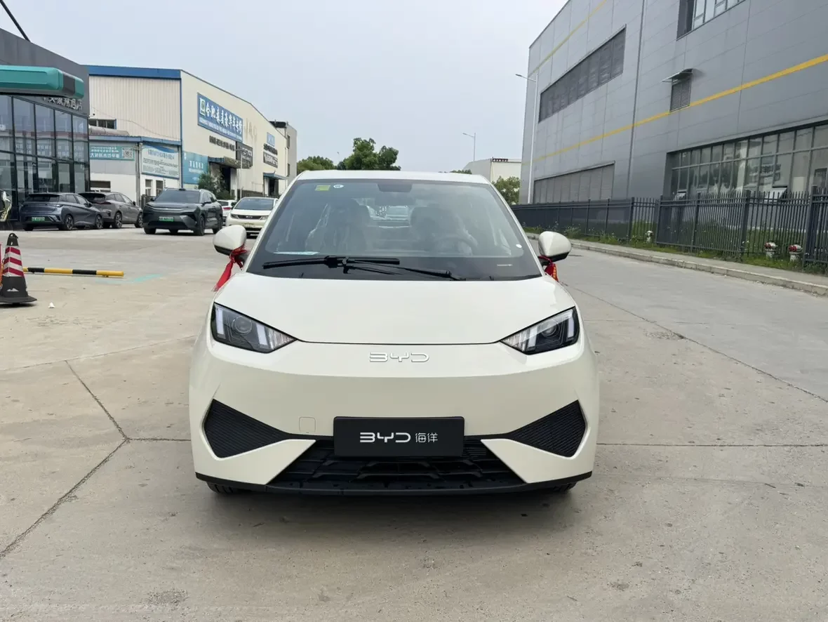 BYD seagull