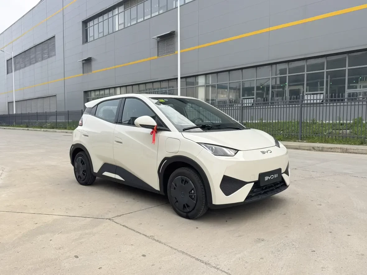 BYD seagull