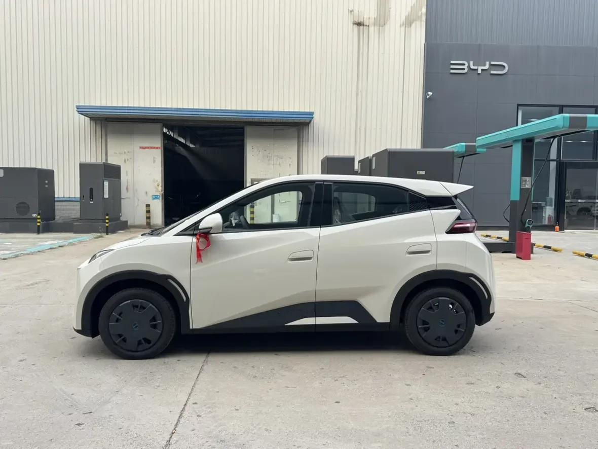 BYD seagull