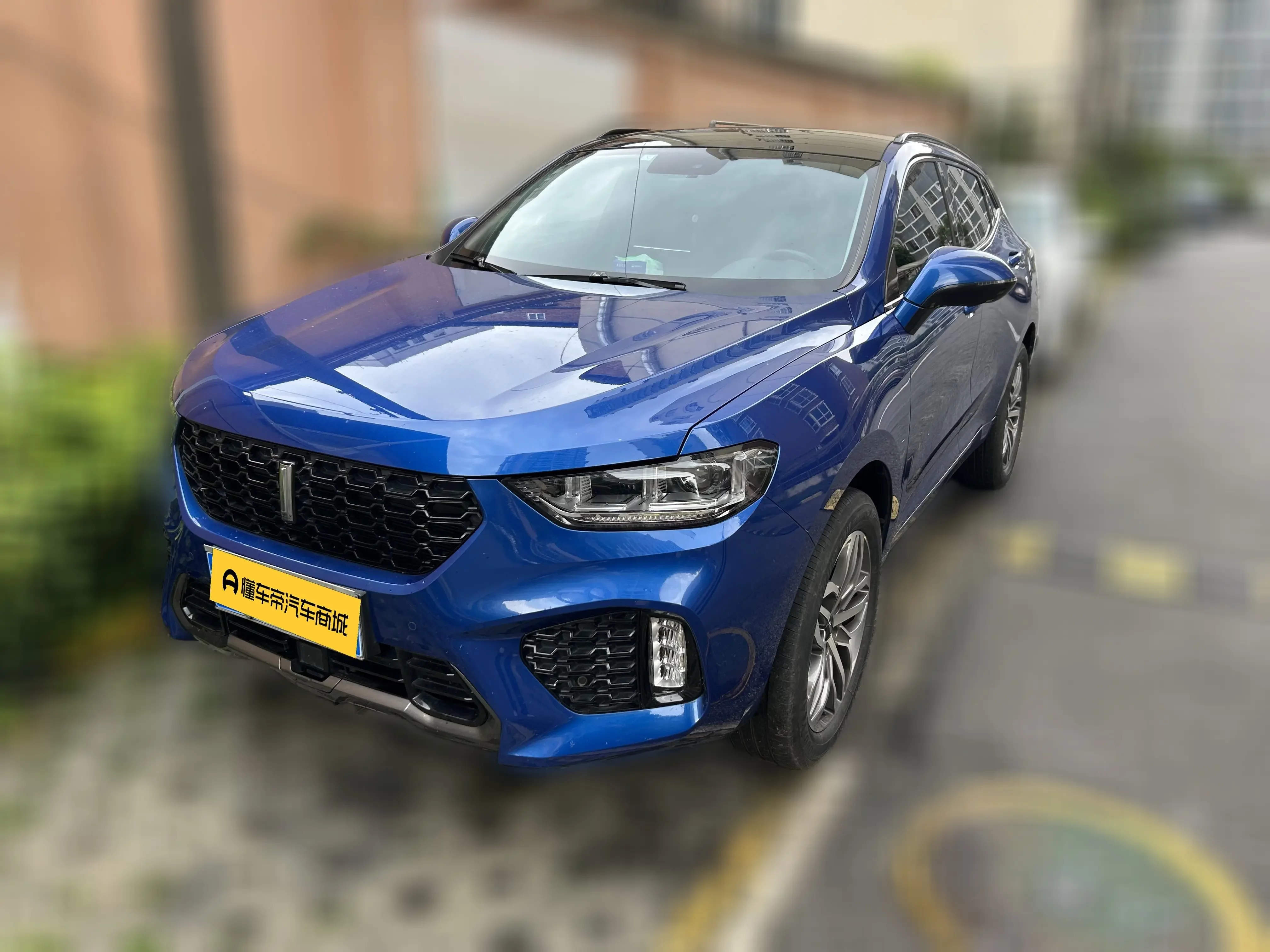 Wey Wei brand VV5