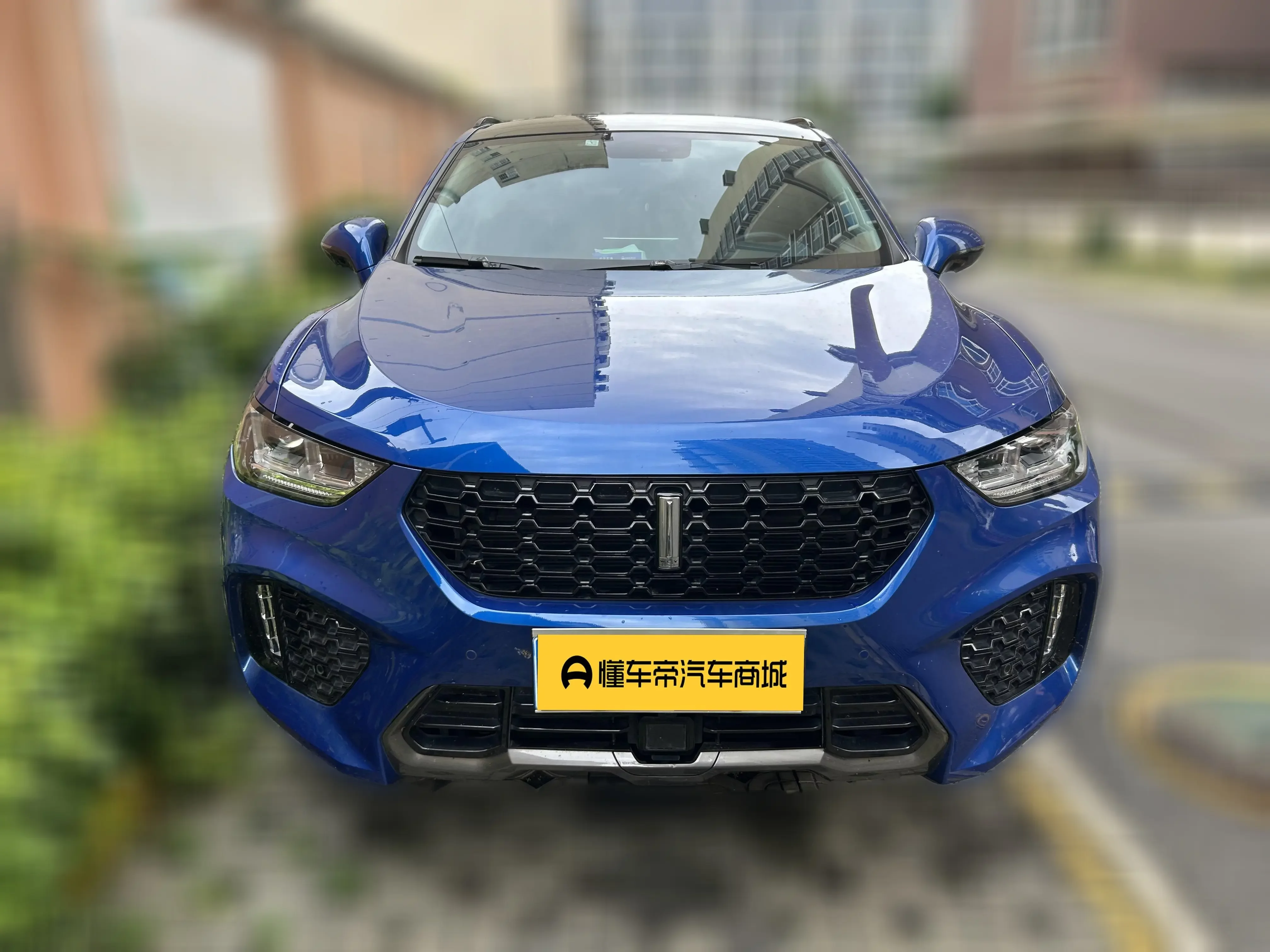 Wey Wei brand VV5