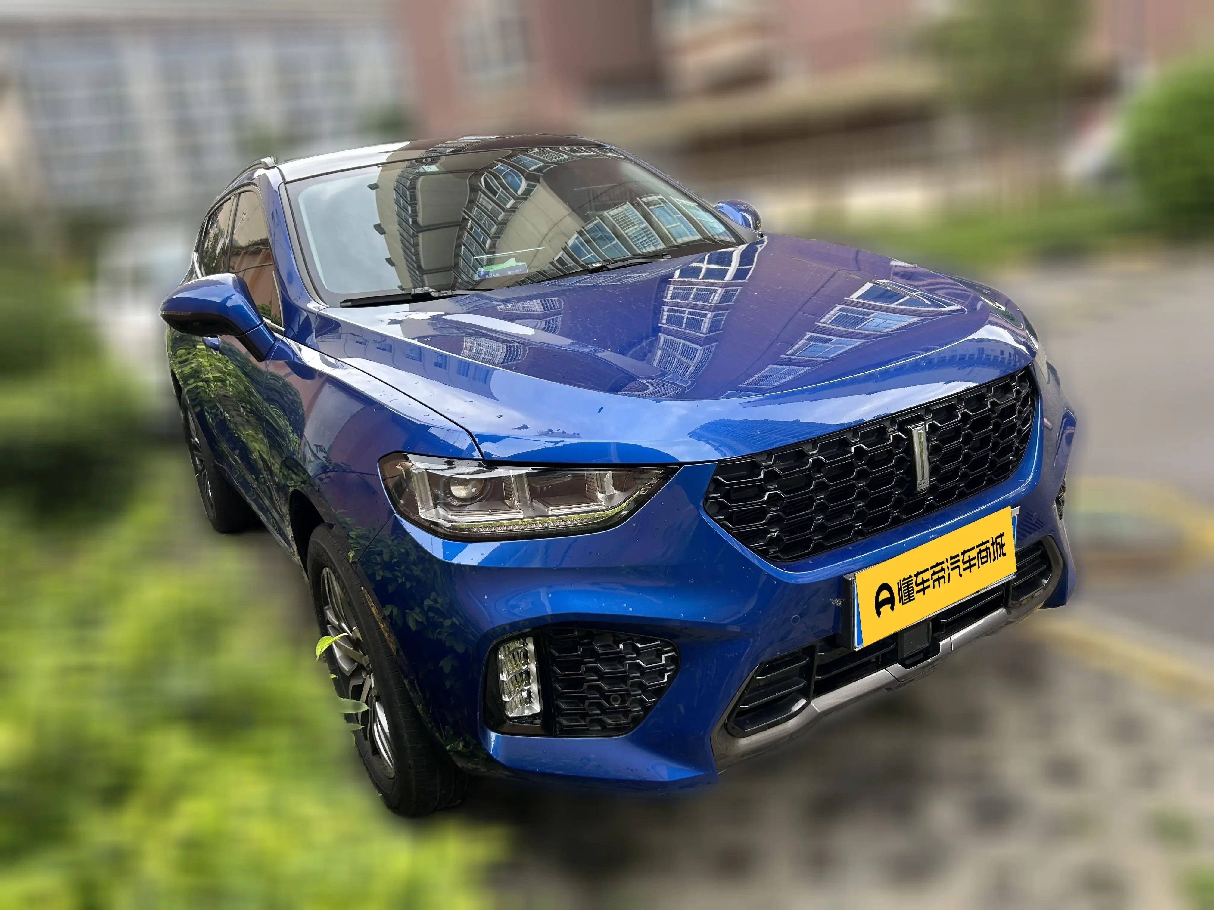 Wey Wei brand VV5