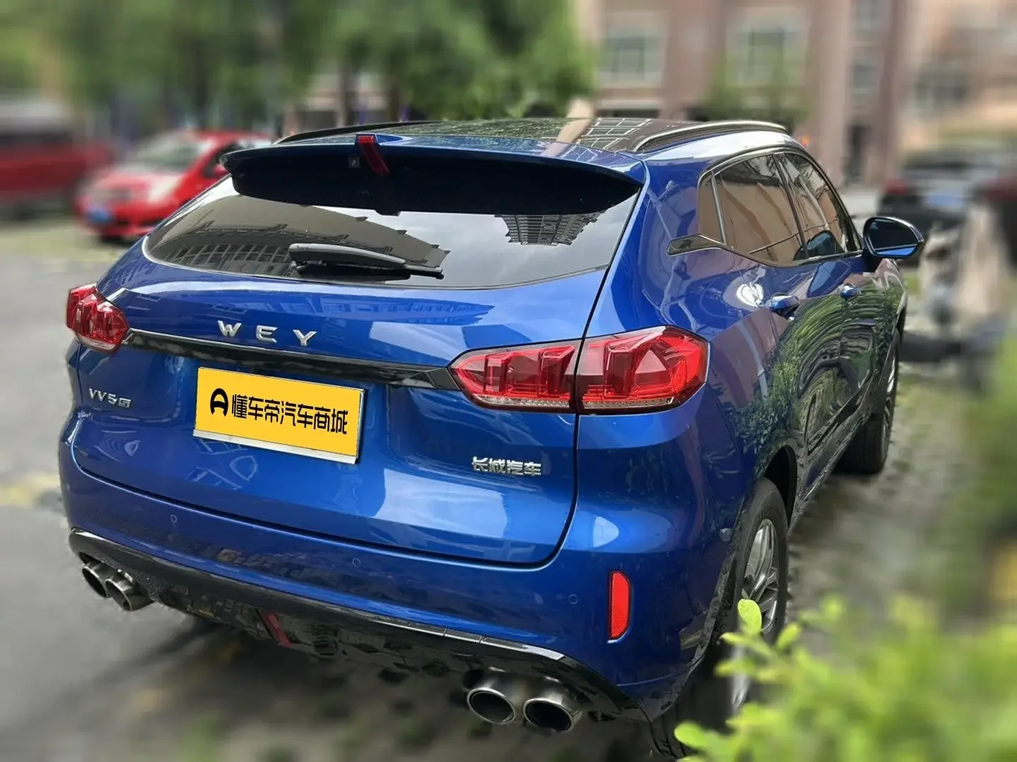 Wey Wei brand VV5