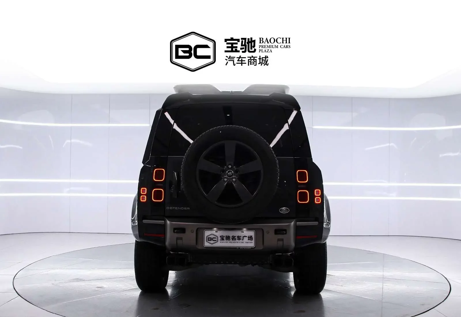 Land Rover guard