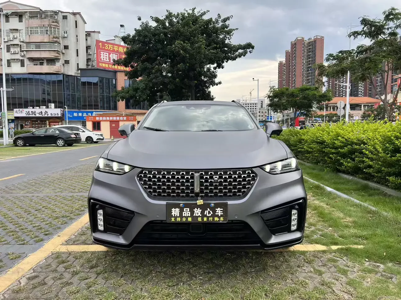 Wey Wei brand VV7