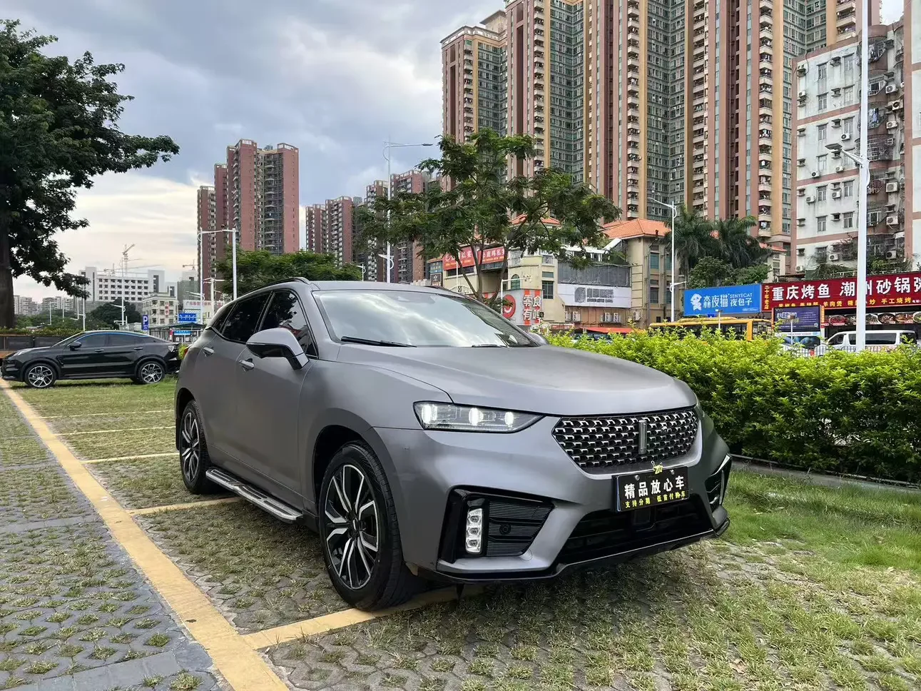 Wey Wei brand VV7