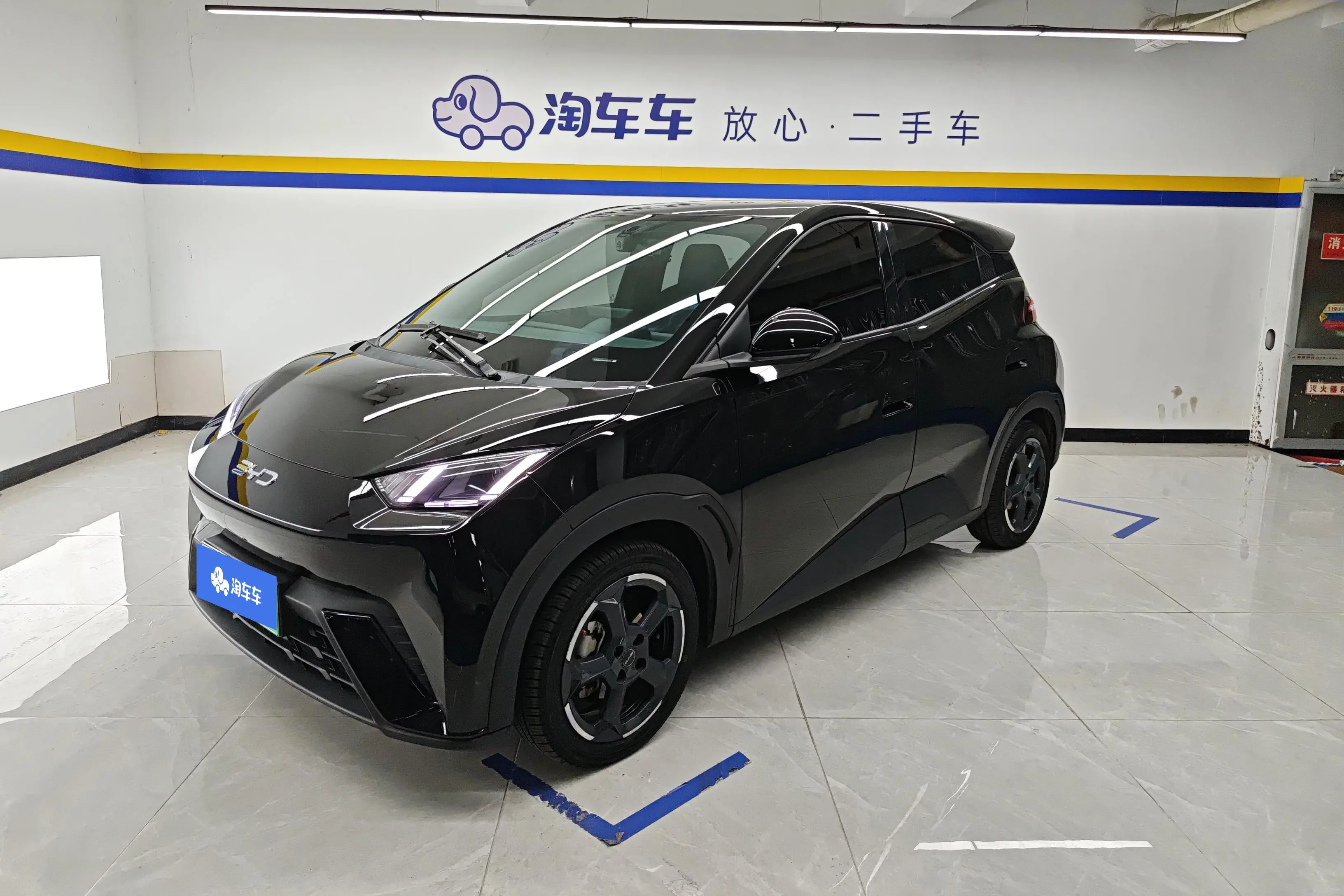 BYD seagull