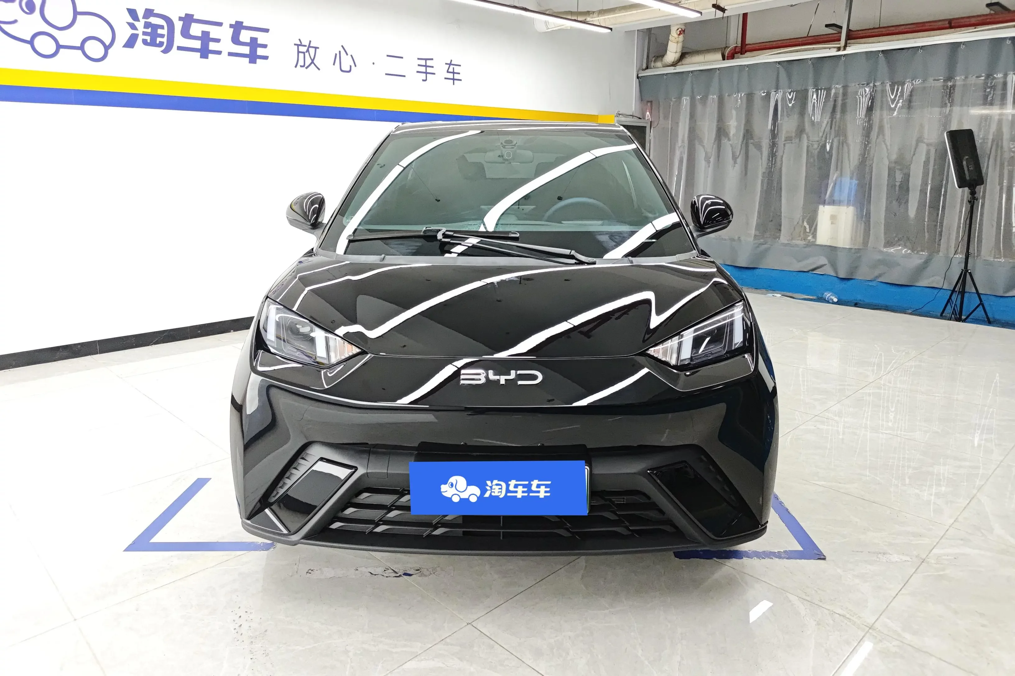 BYD seagull