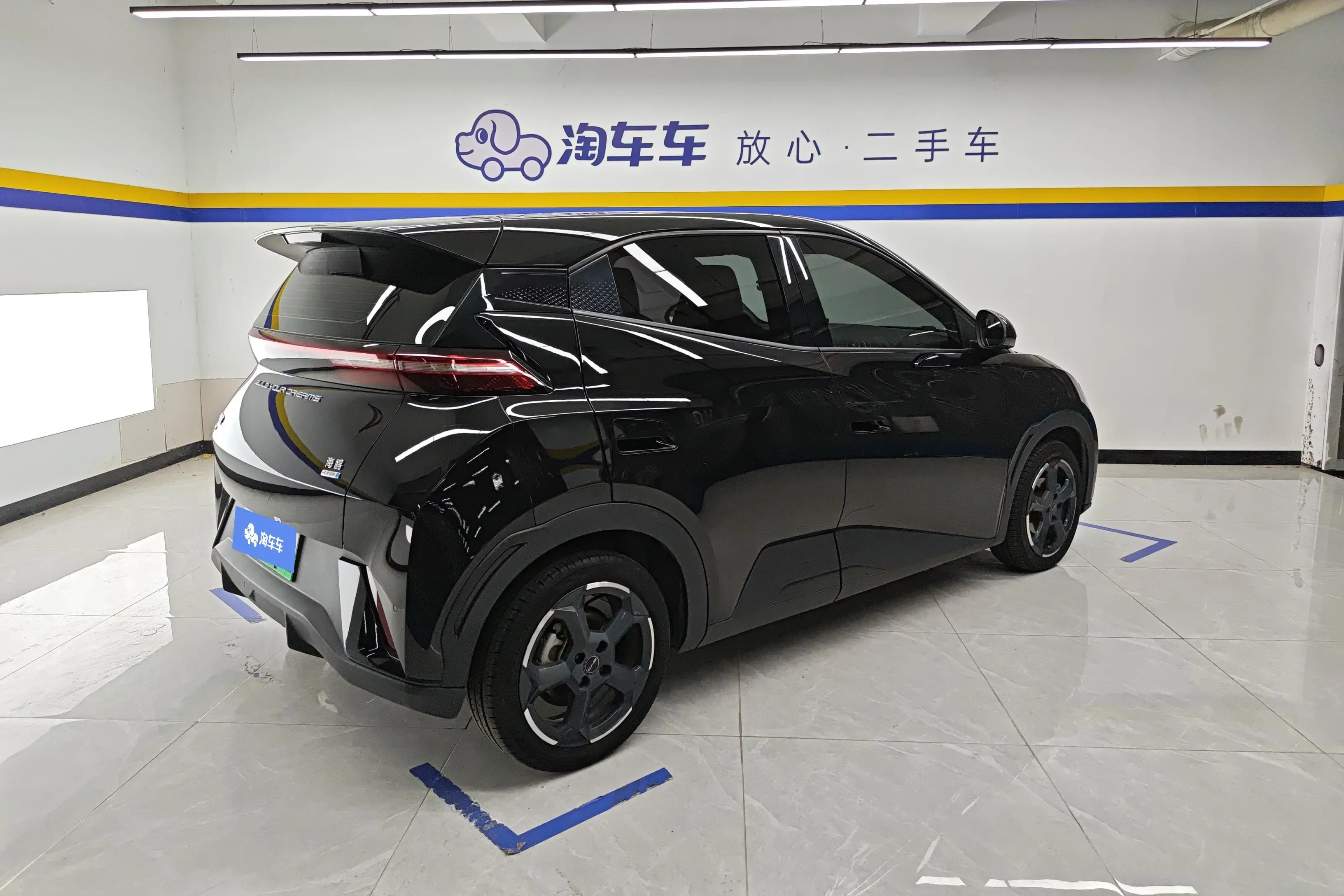 BYD seagull