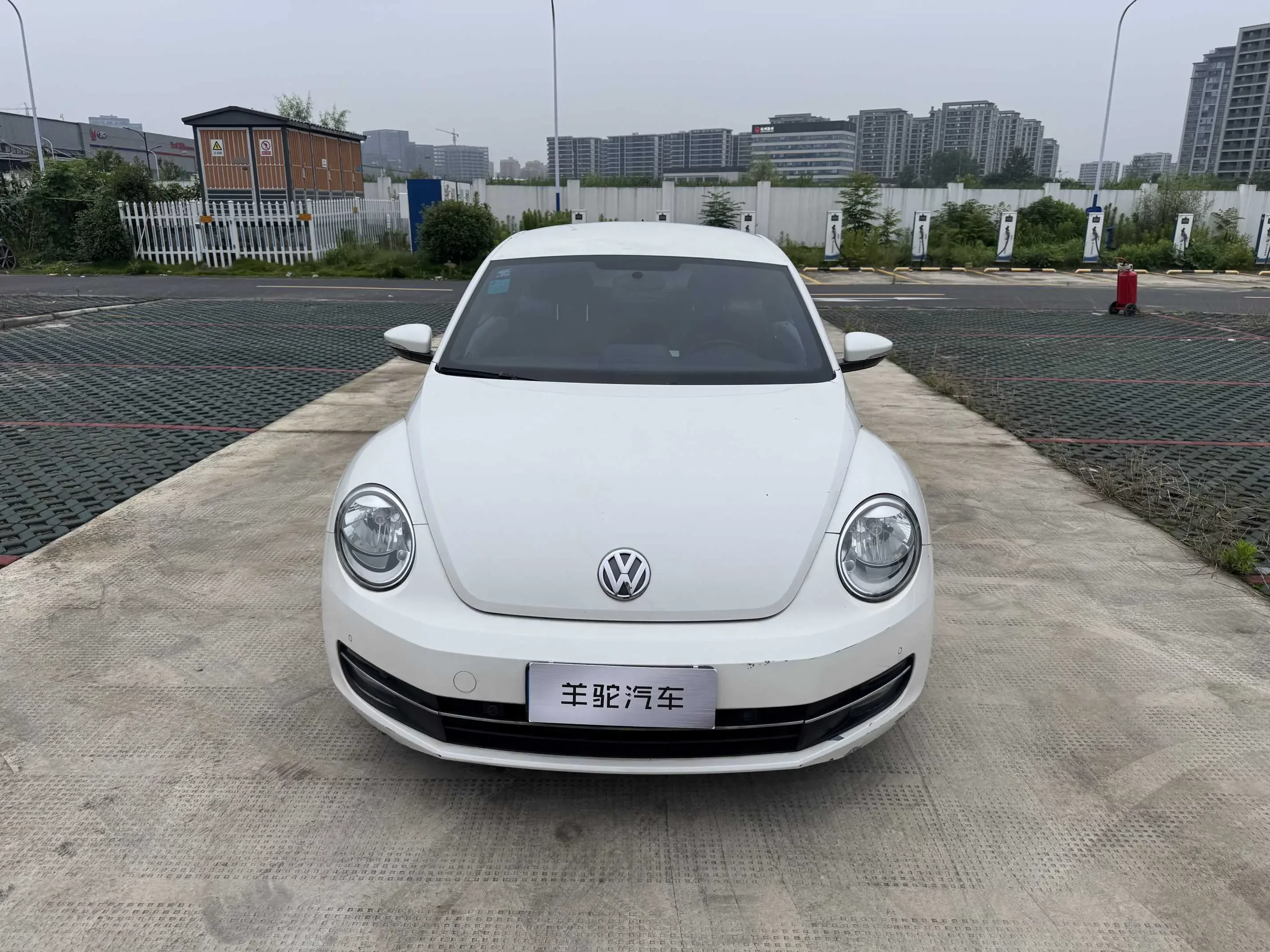 Volkswagen Beetle