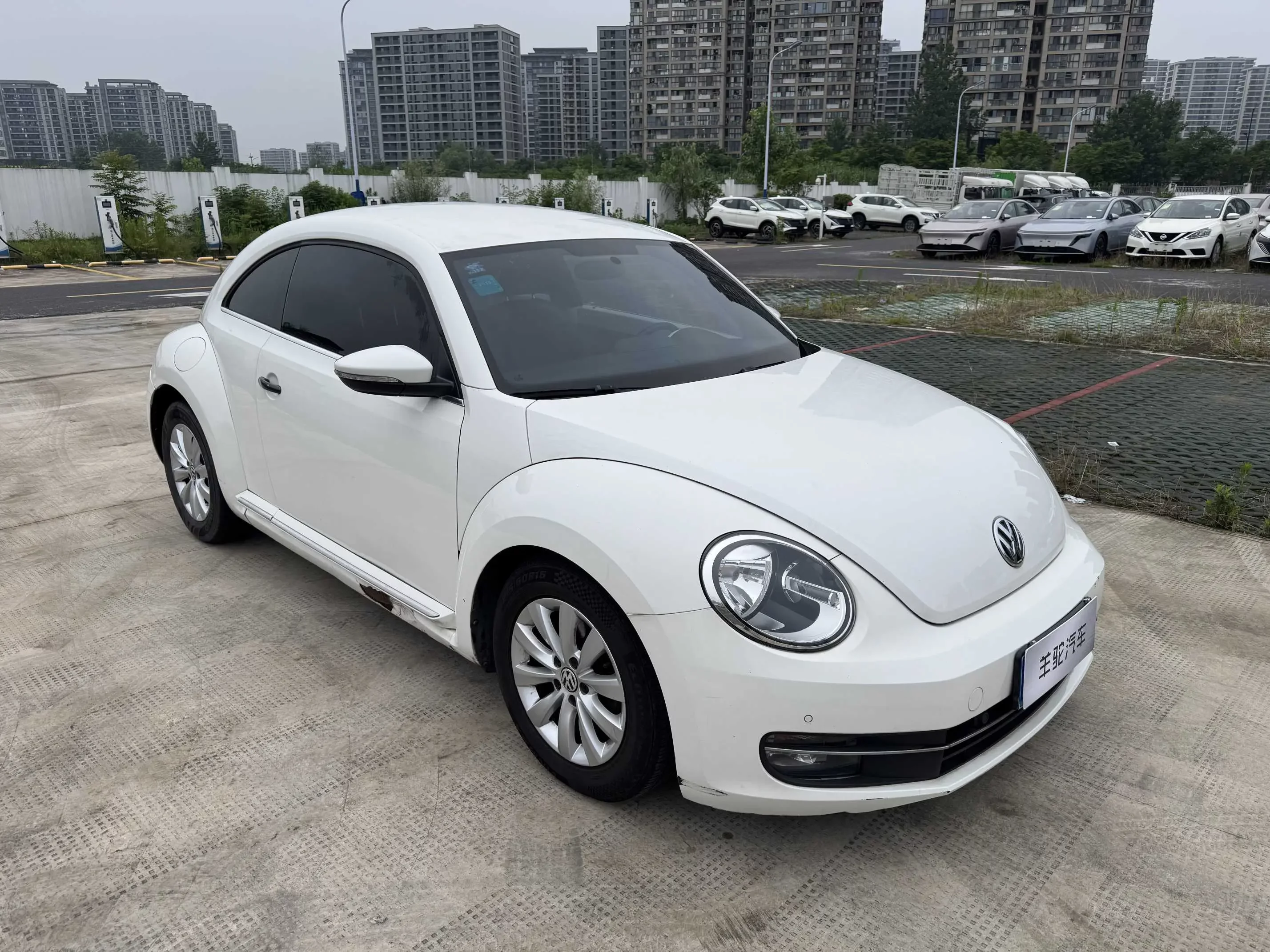 Volkswagen Beetle