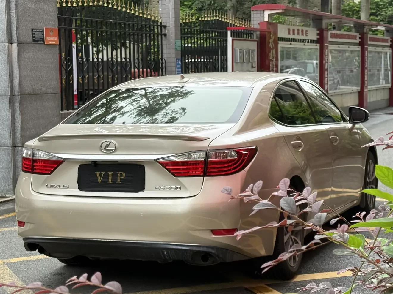 Lexus ES