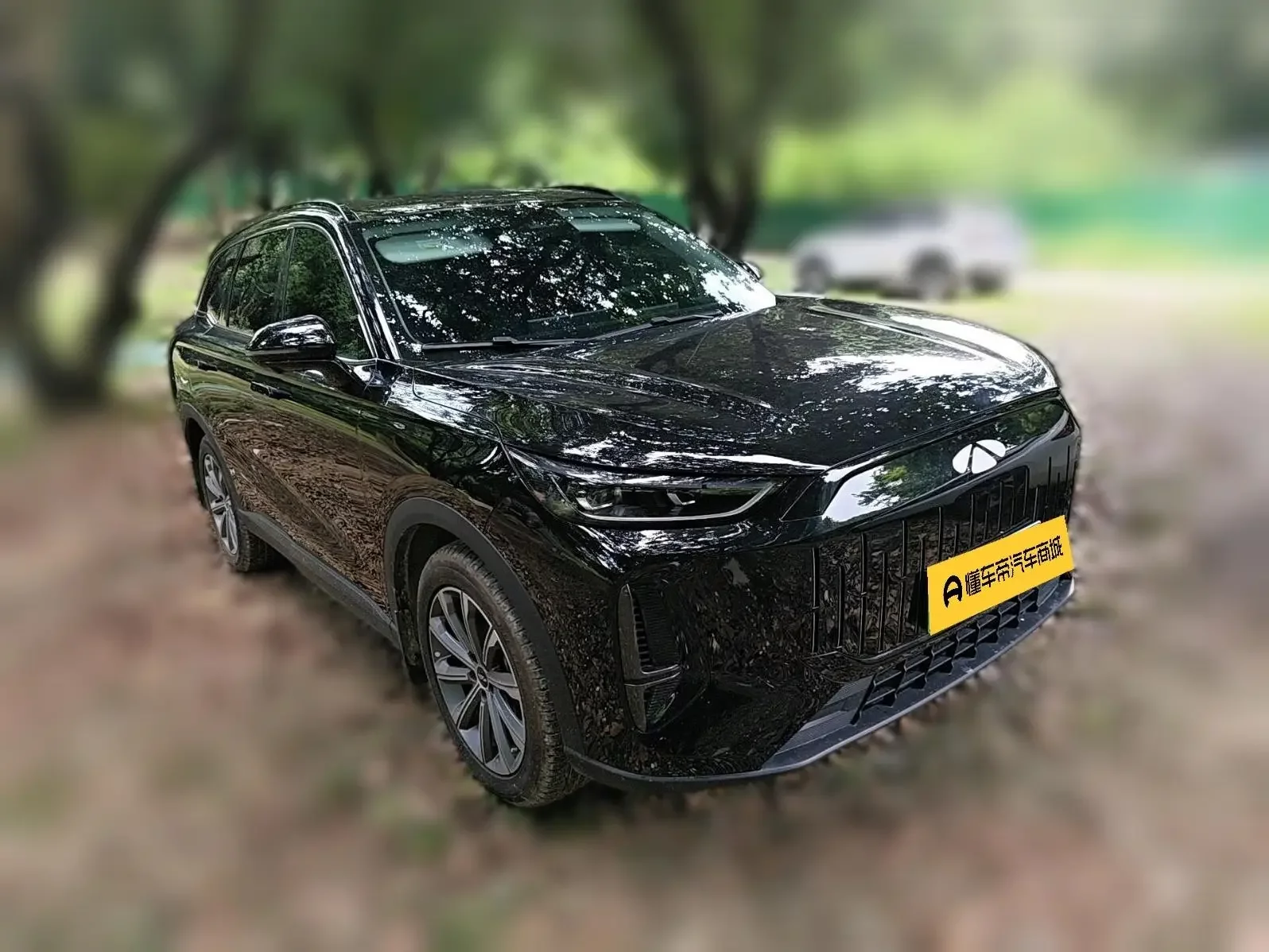Chery Fengyun T9