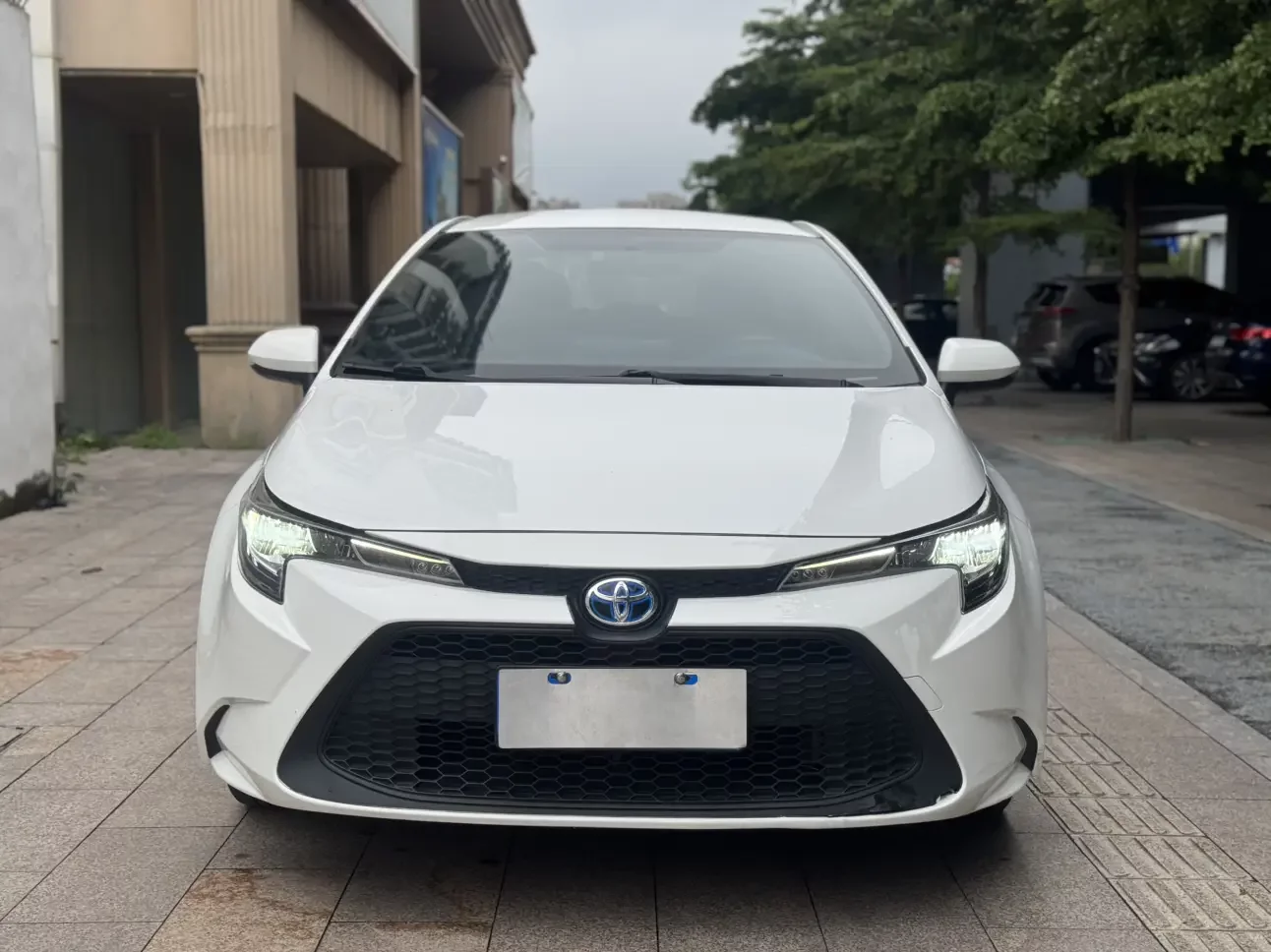 Toyota Levin