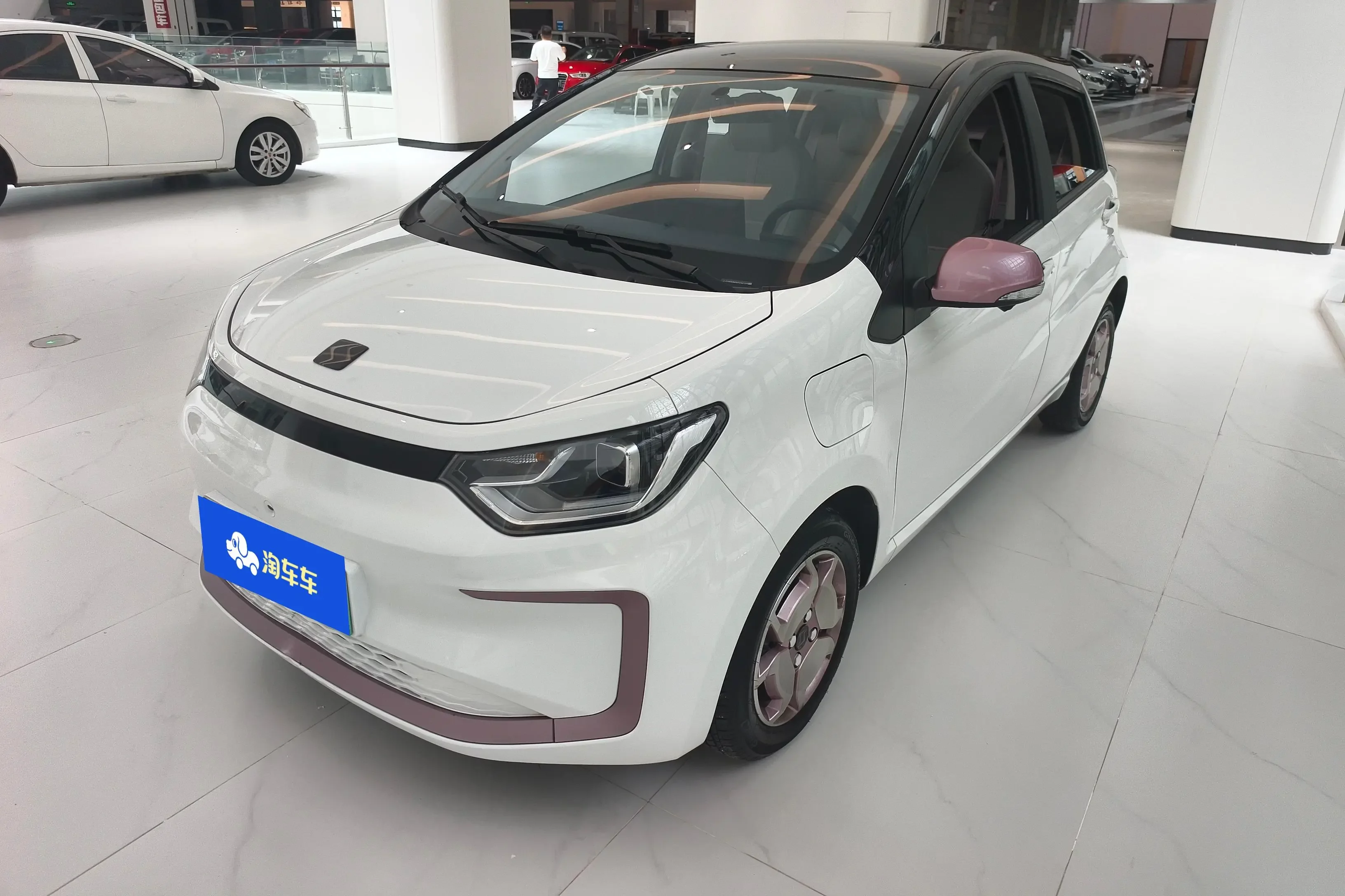 JAC (Sihao) Sihao Flower Fairy
