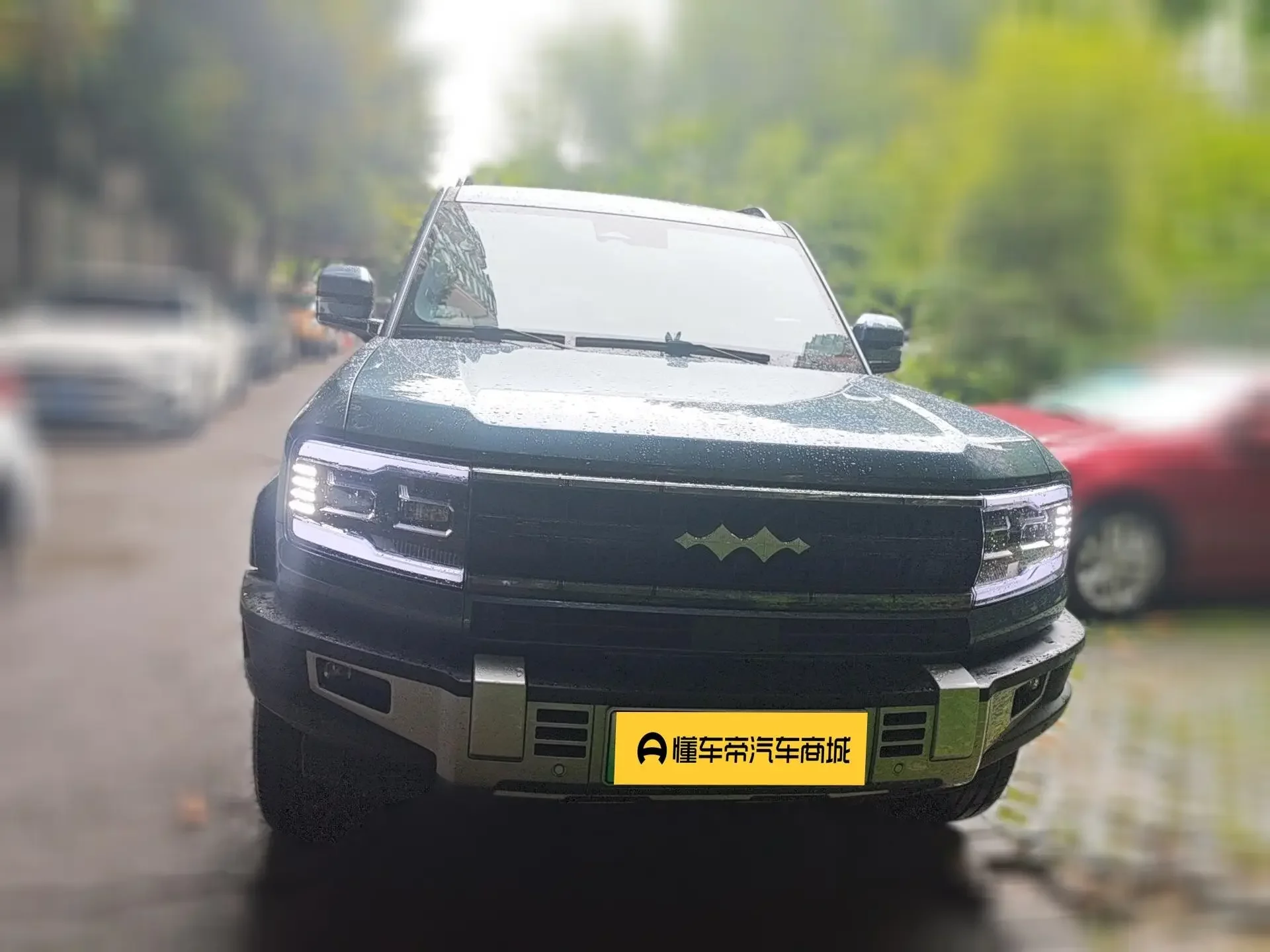 BYD Leopard Leopard 5