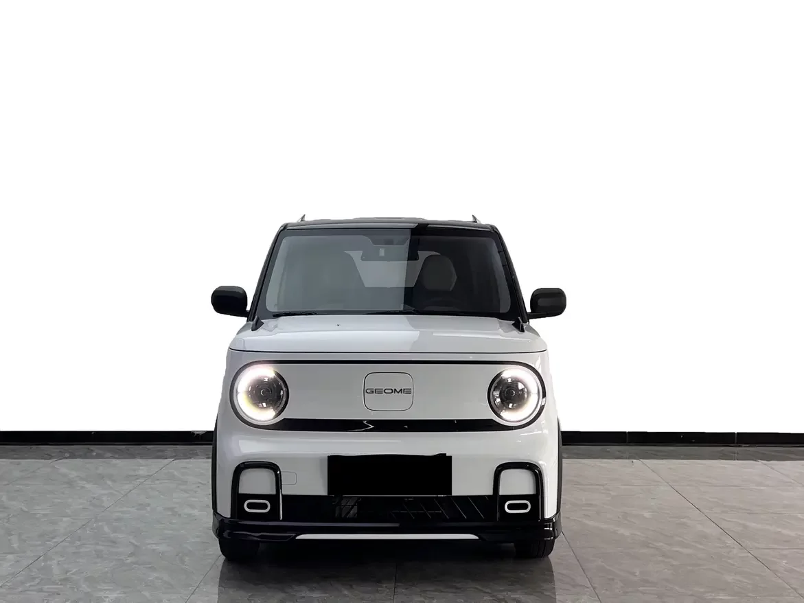 Geely panda