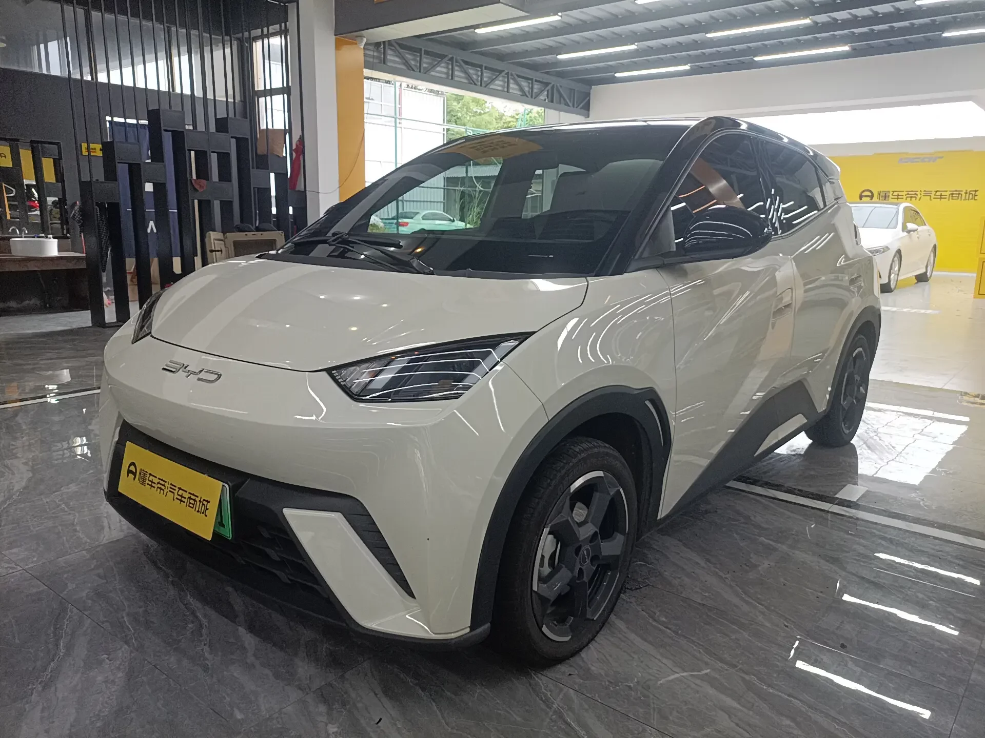 BYD seagull