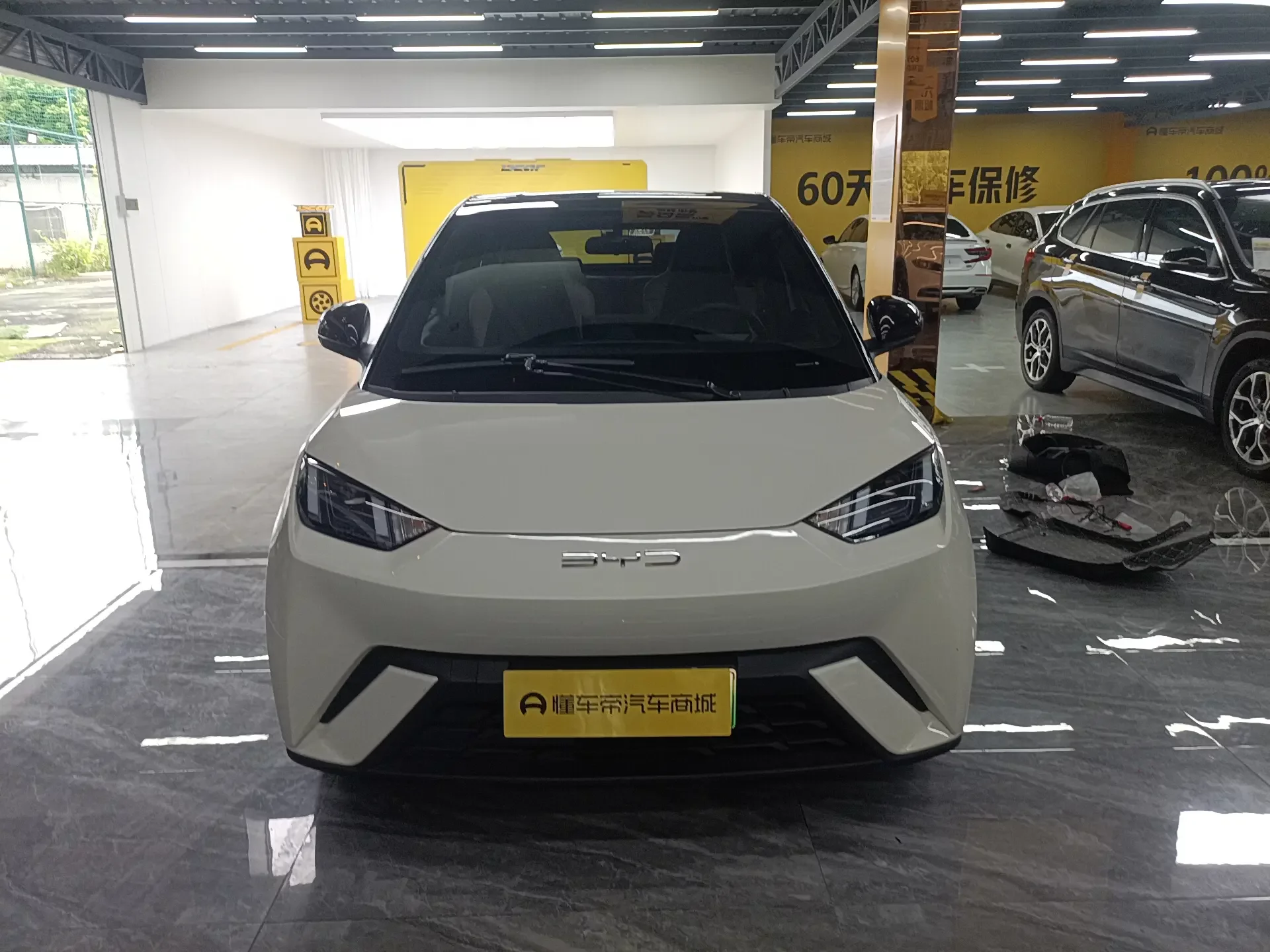 BYD seagull