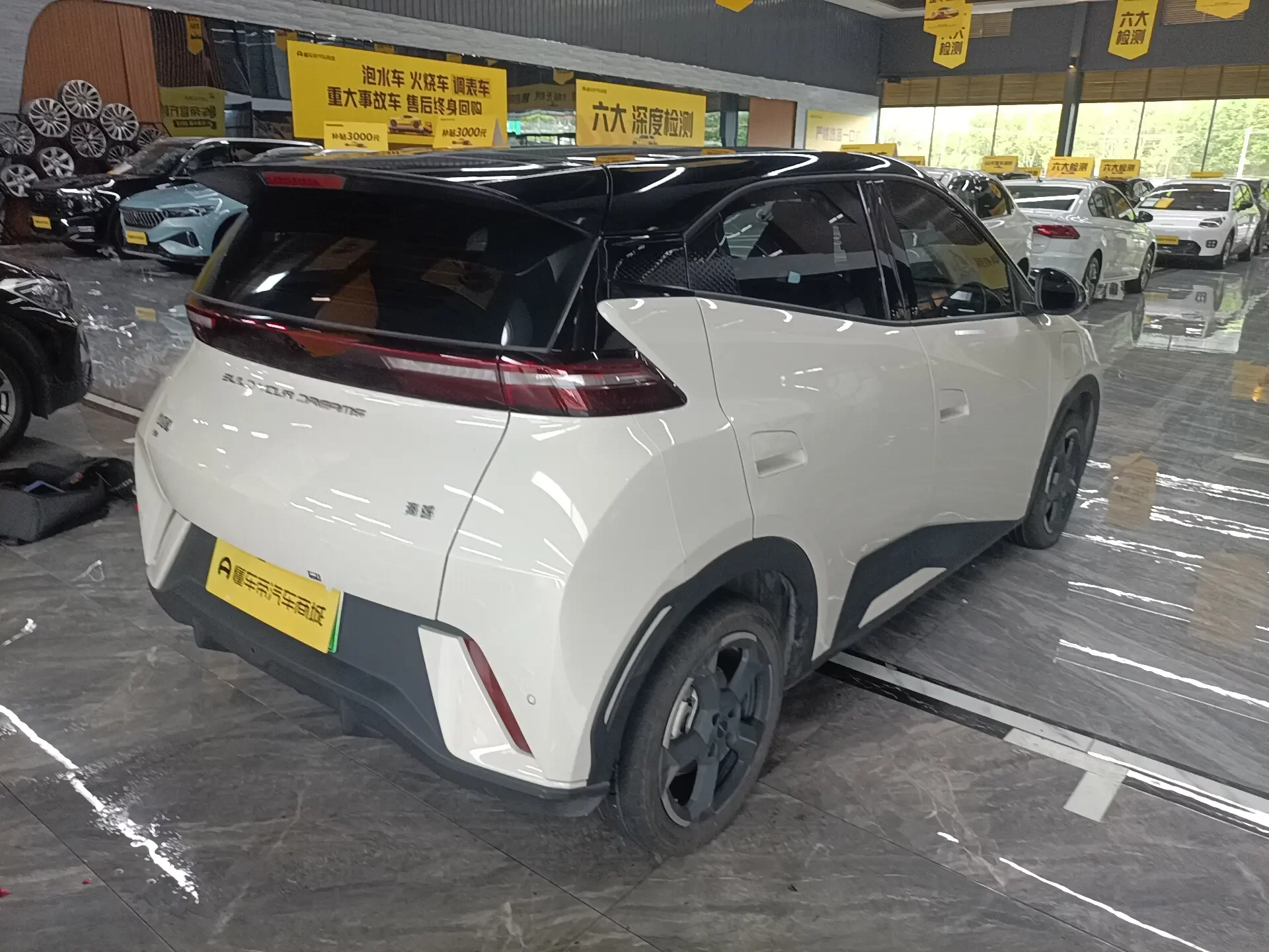 BYD seagull