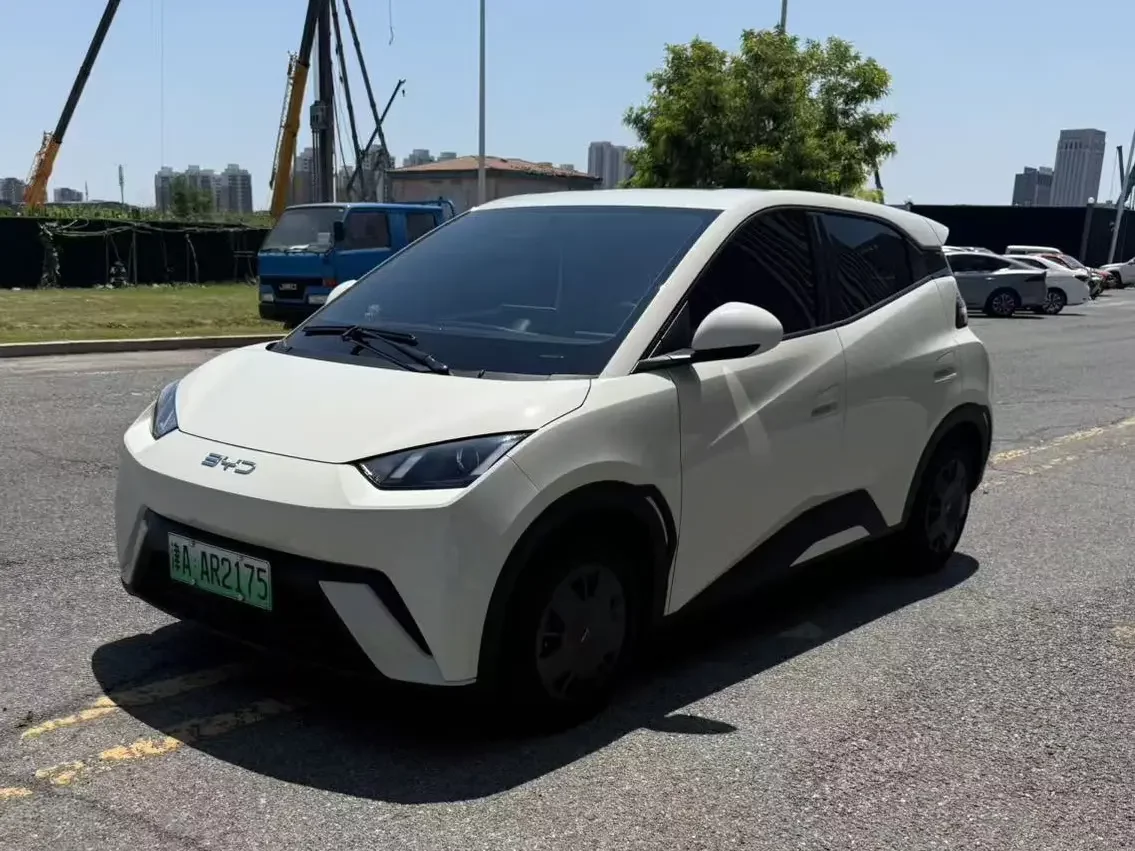 BYD seagull