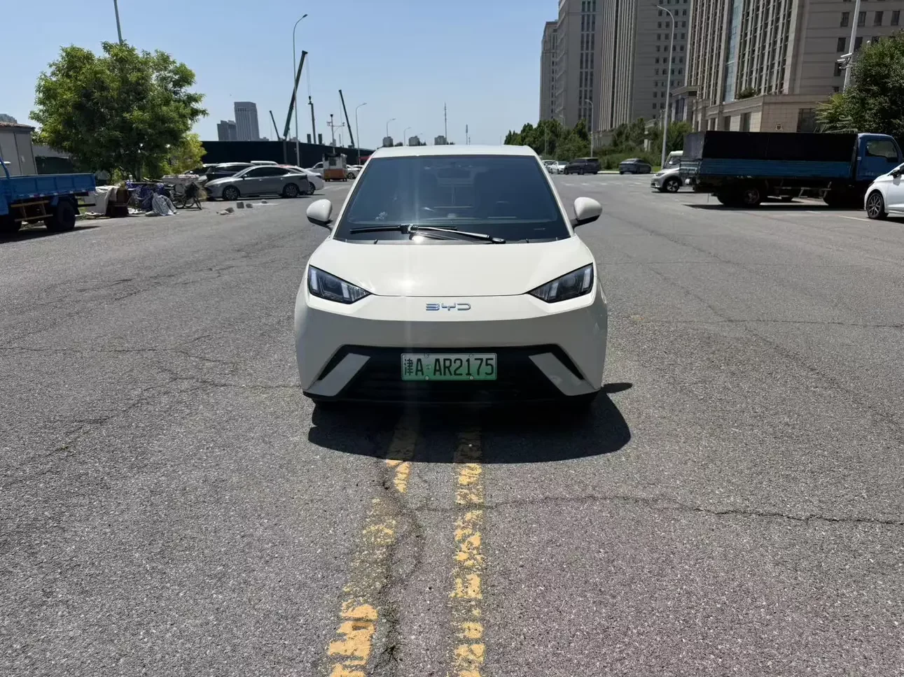 BYD seagull
