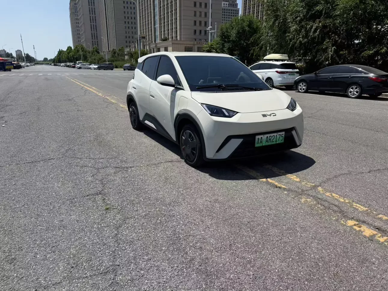 BYD seagull