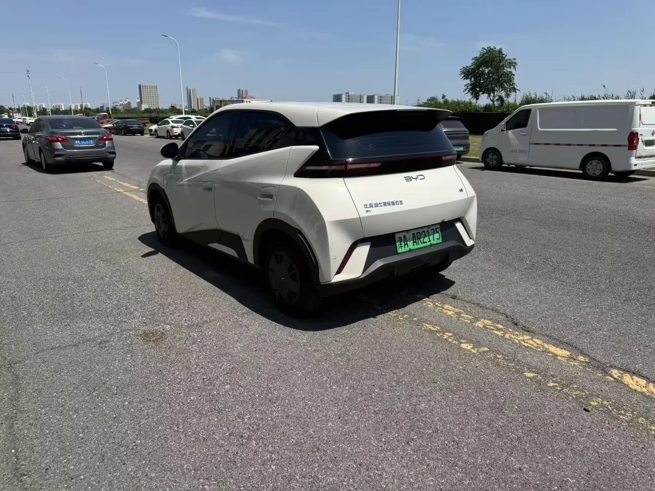 BYD seagull