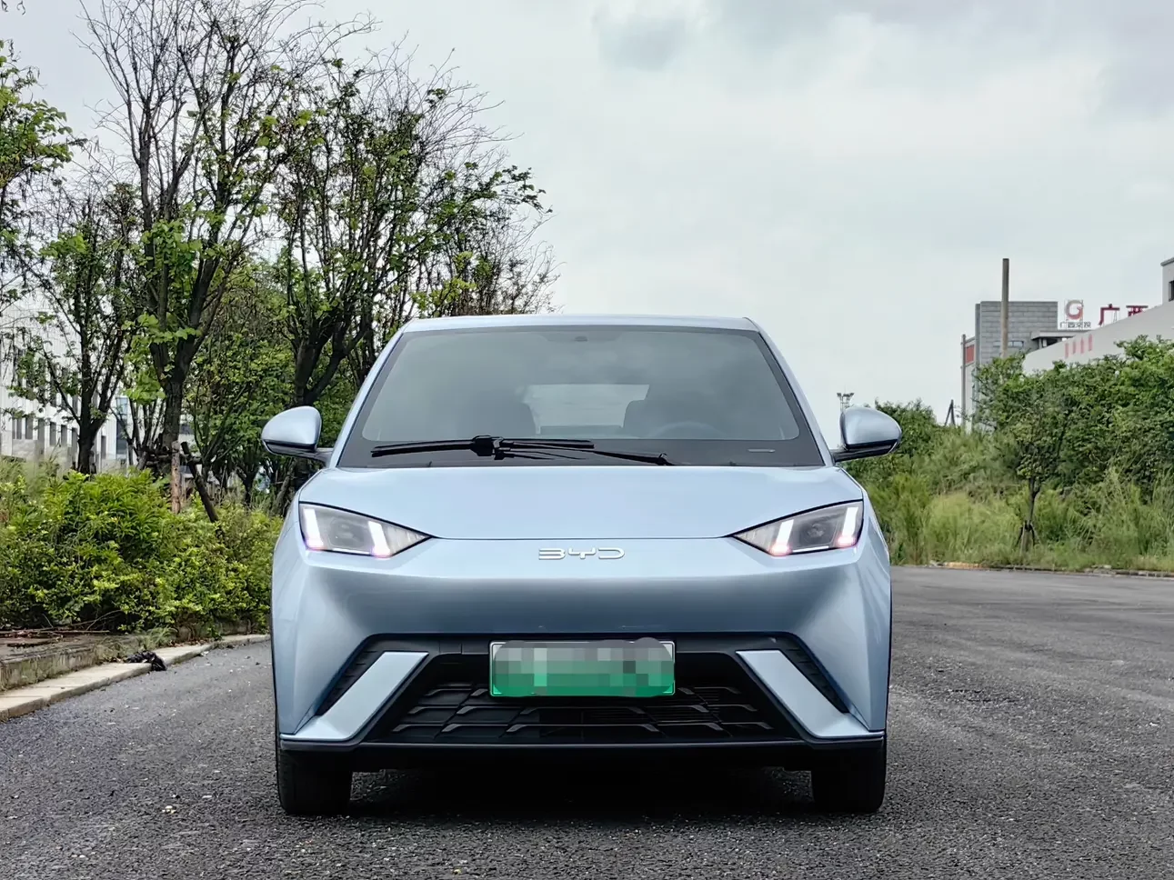BYD seagull