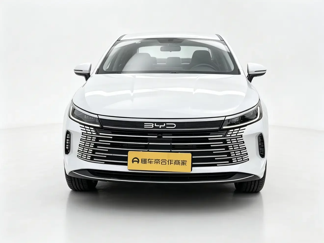 BYD Destroyer 05