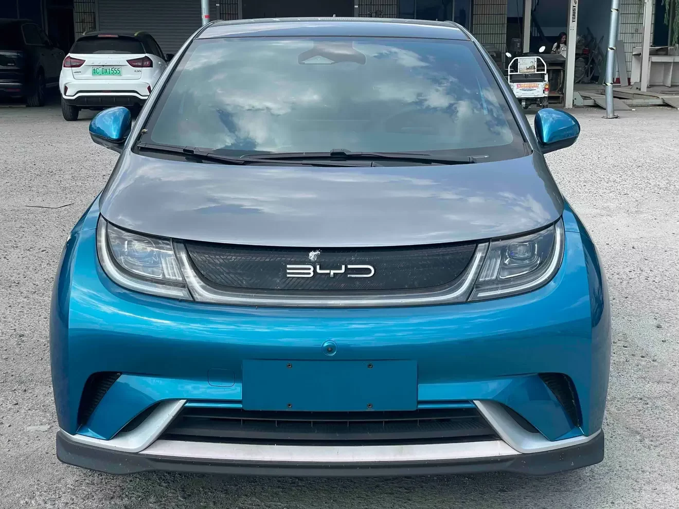 BYD dolphin