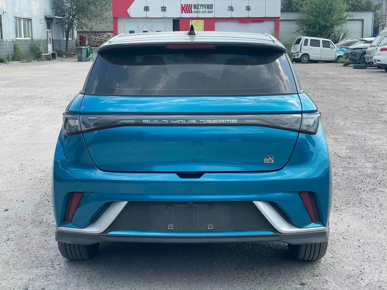 BYD dolphin