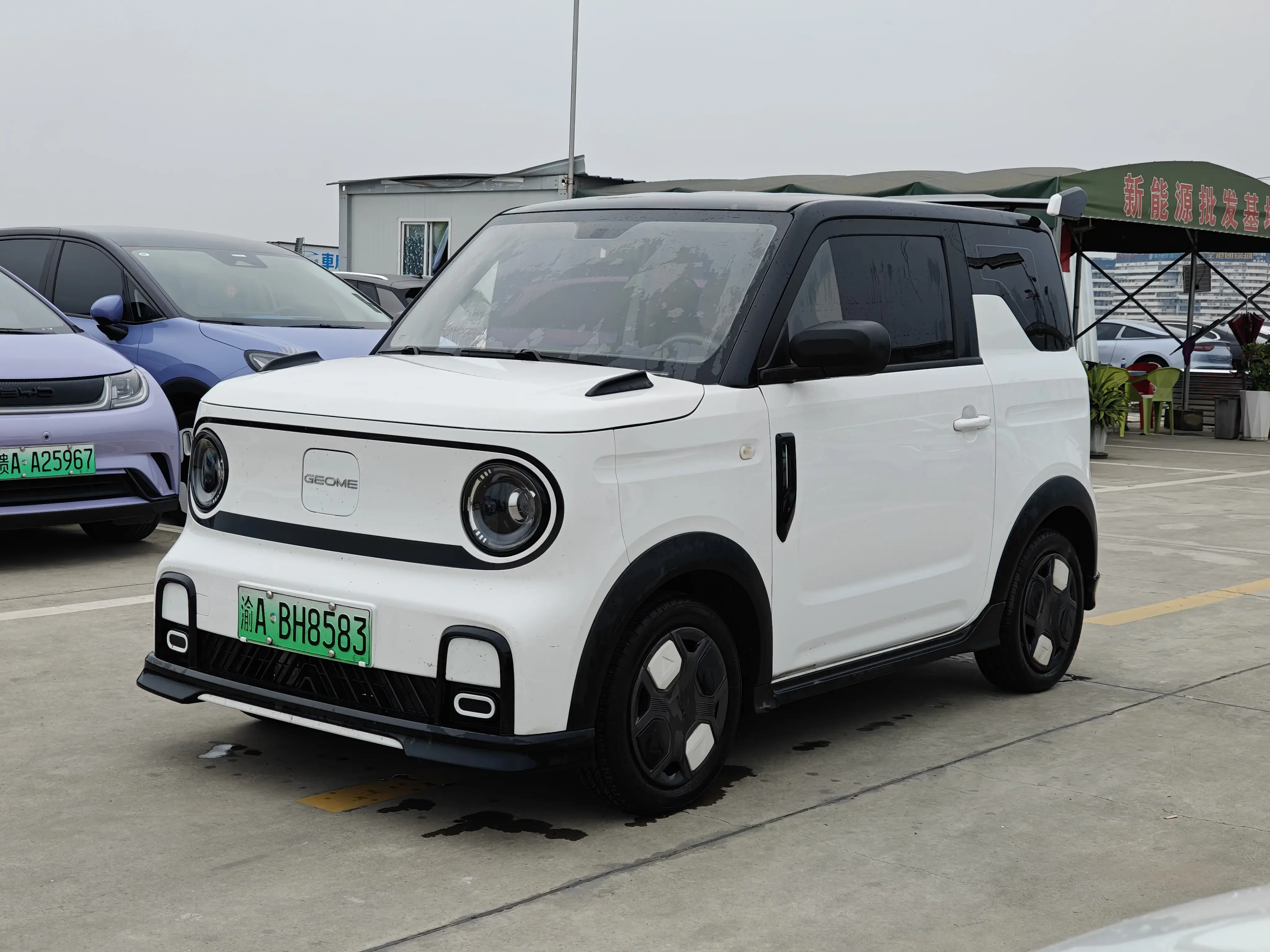 Geely panda