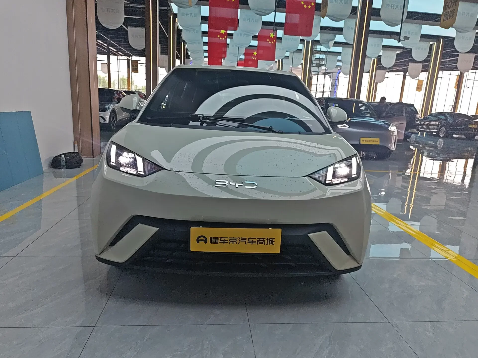 BYD seagull