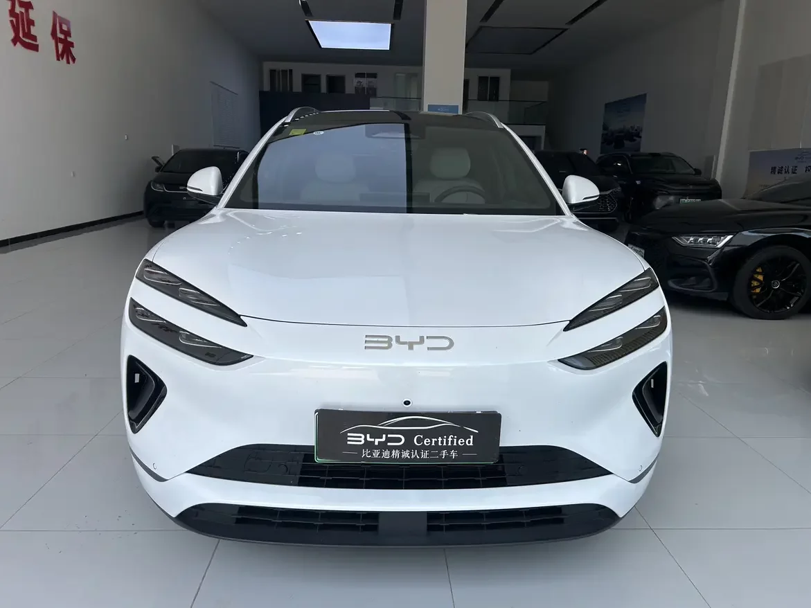 BYD Sea Lion 06DM