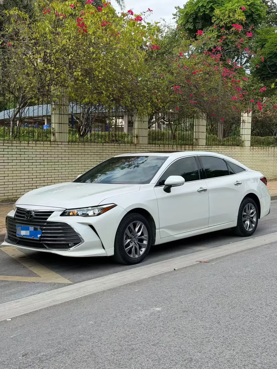 Toyota Avalon