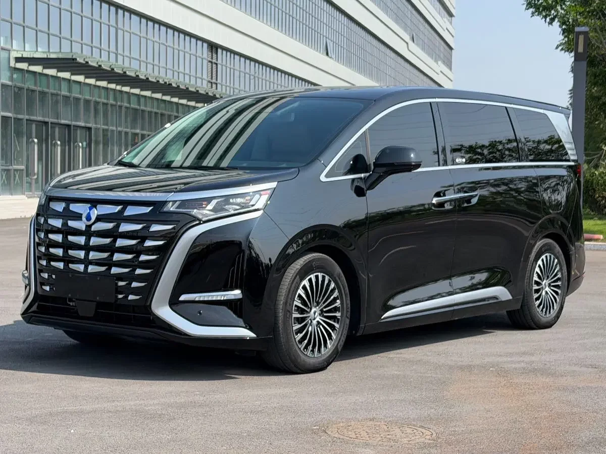 Denza D9 DM
