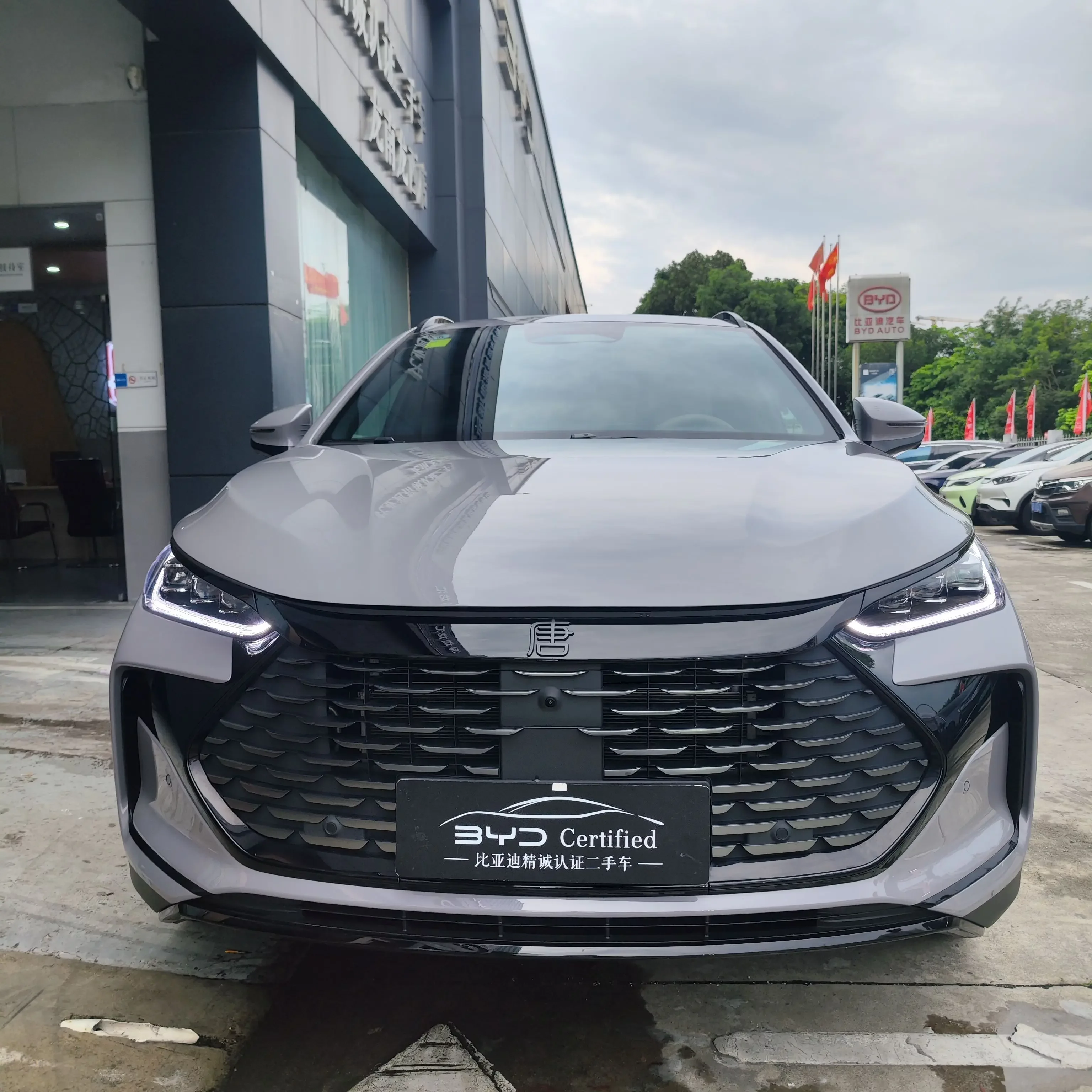 BYD Tang DM