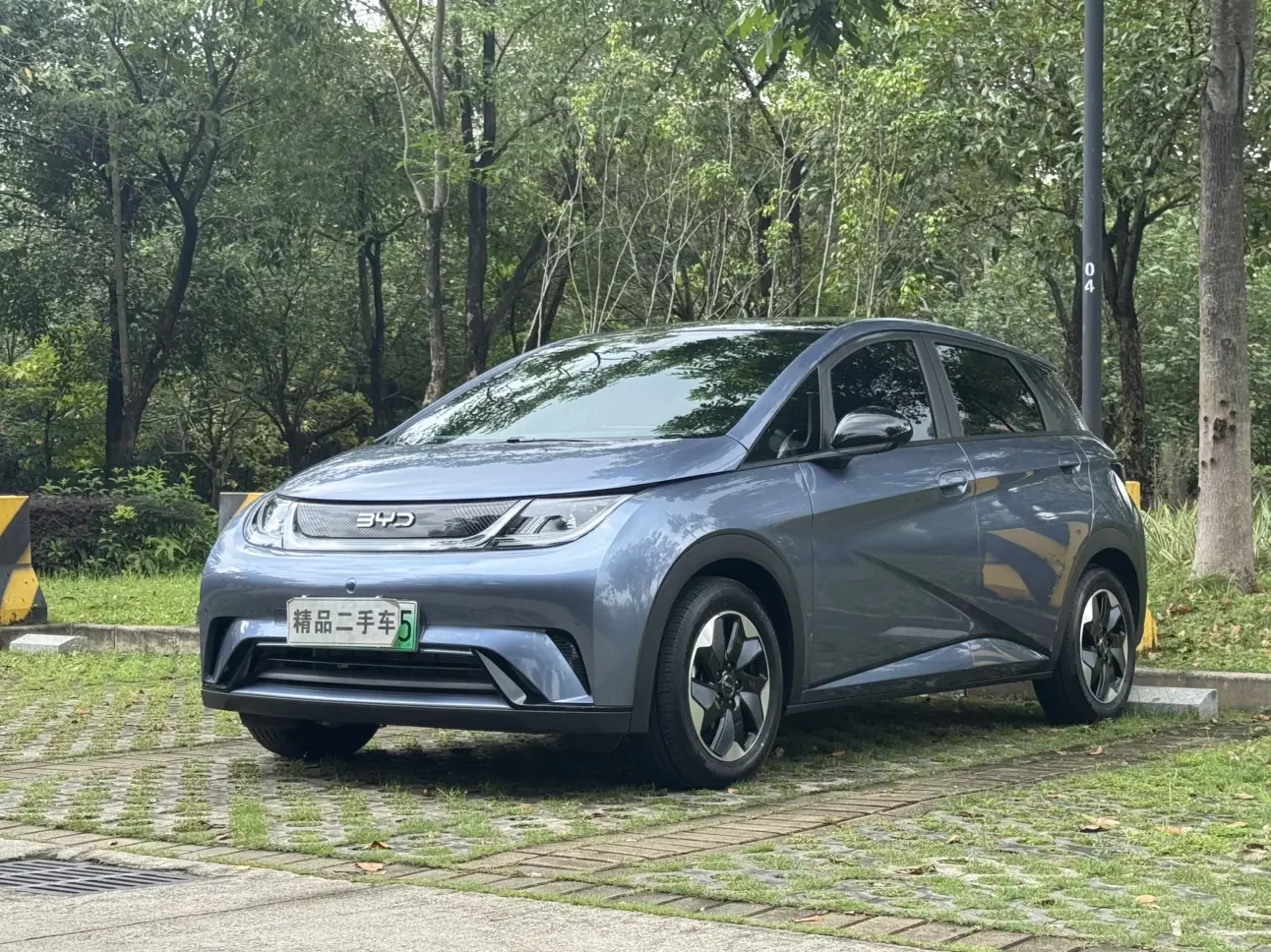 BYD dolphin