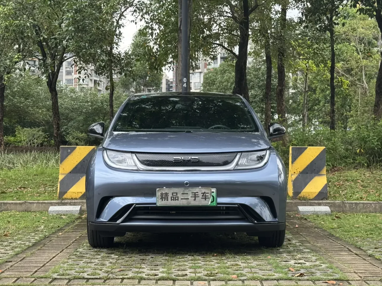 BYD dolphin