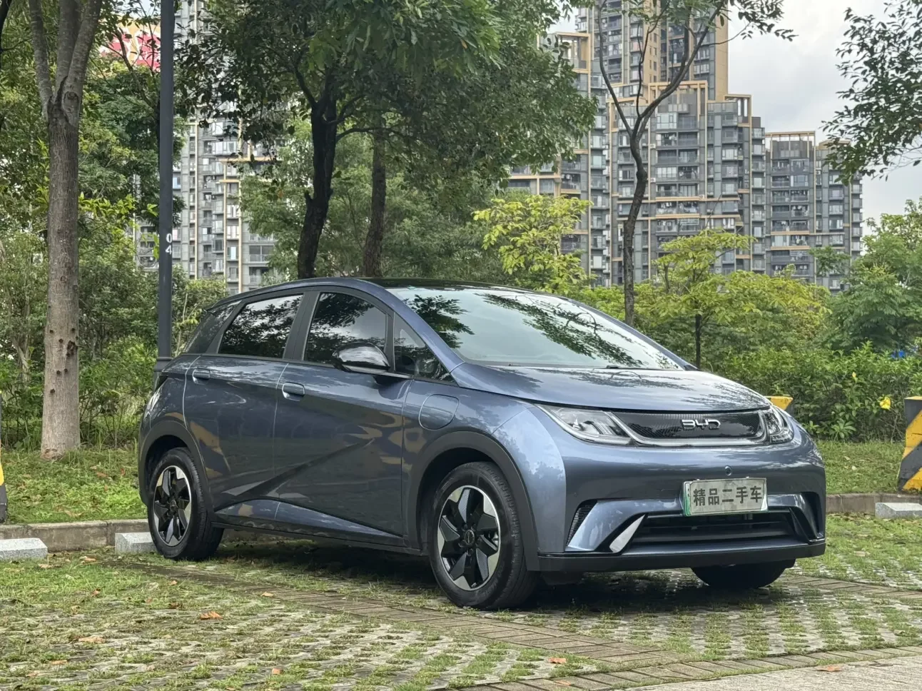 BYD dolphin