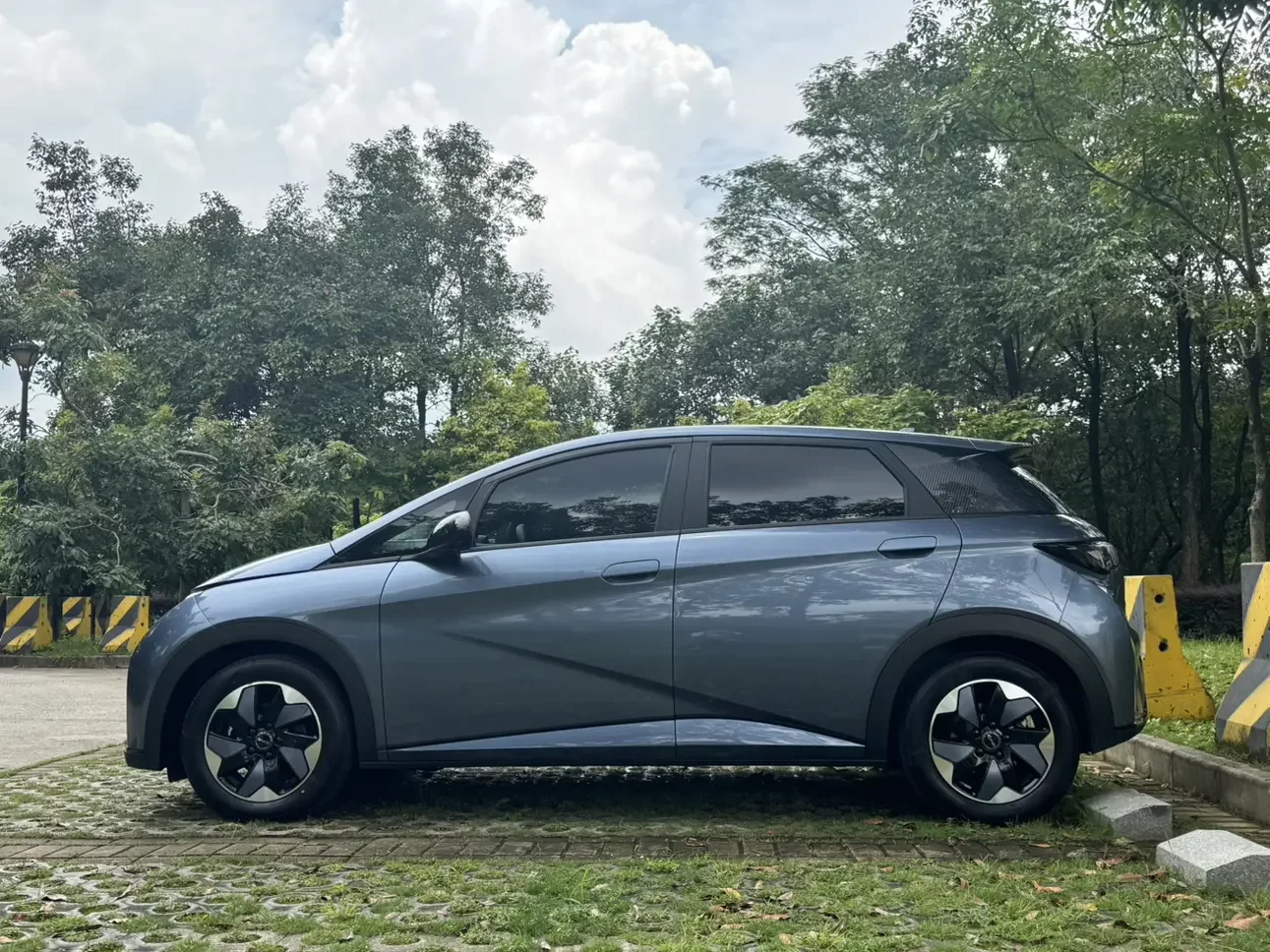 BYD dolphin