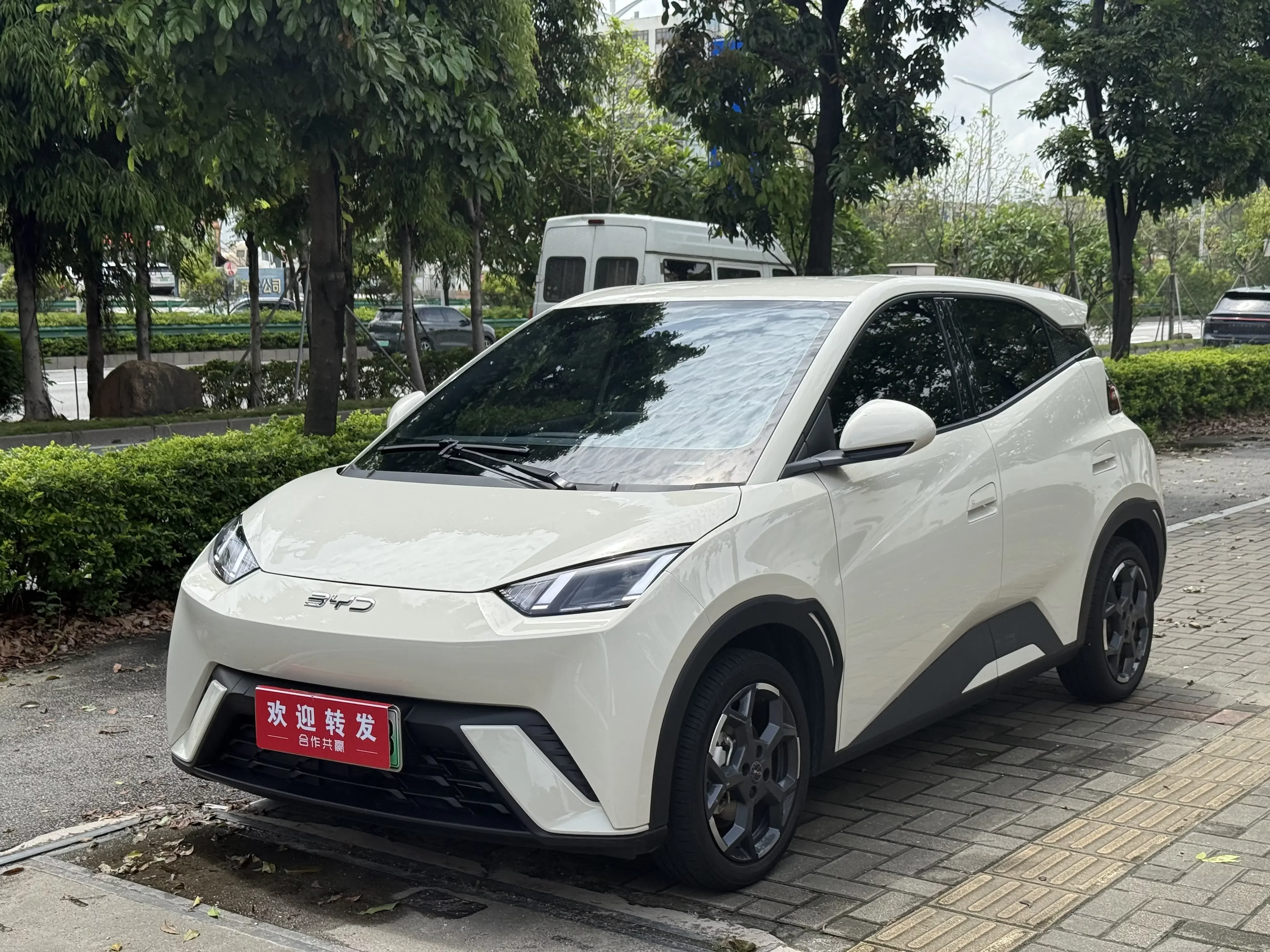 BYD seagull