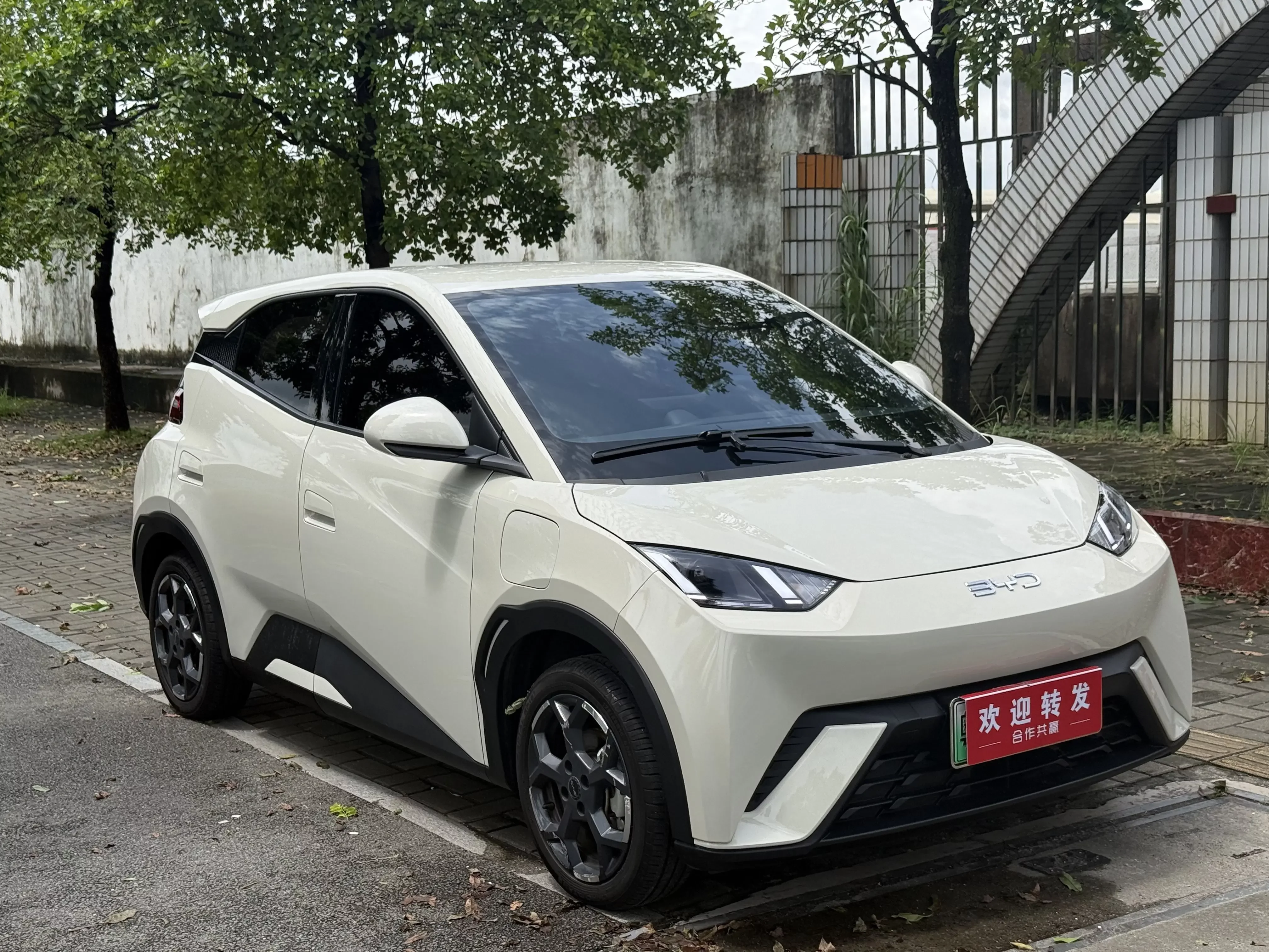 BYD seagull