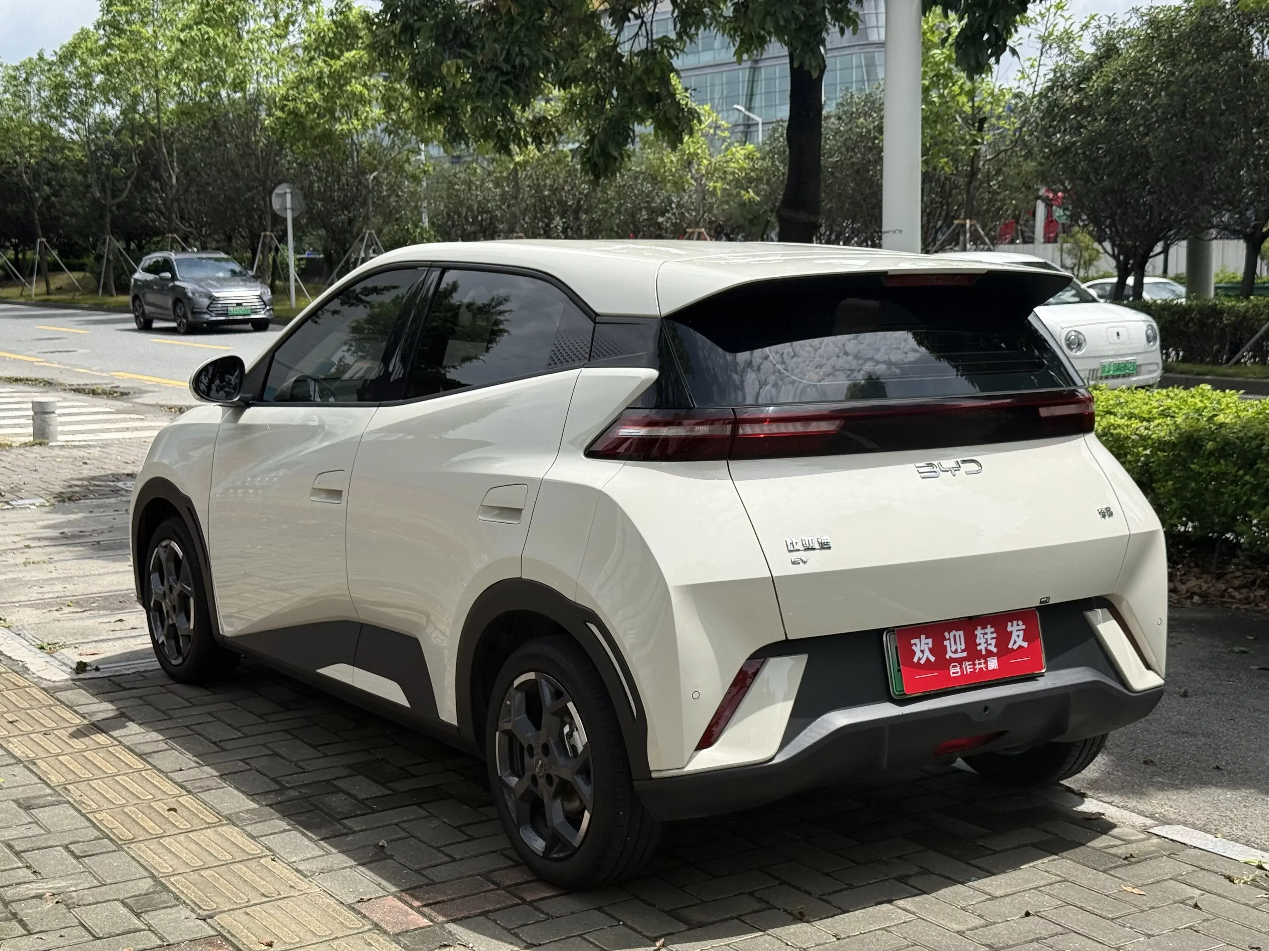 BYD seagull