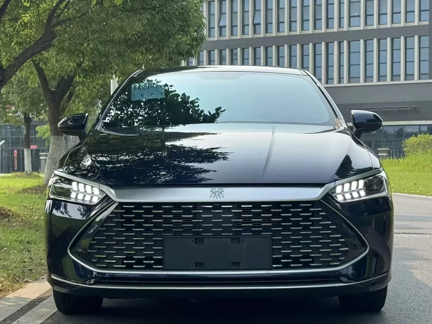 BYD Qin PLUS DM