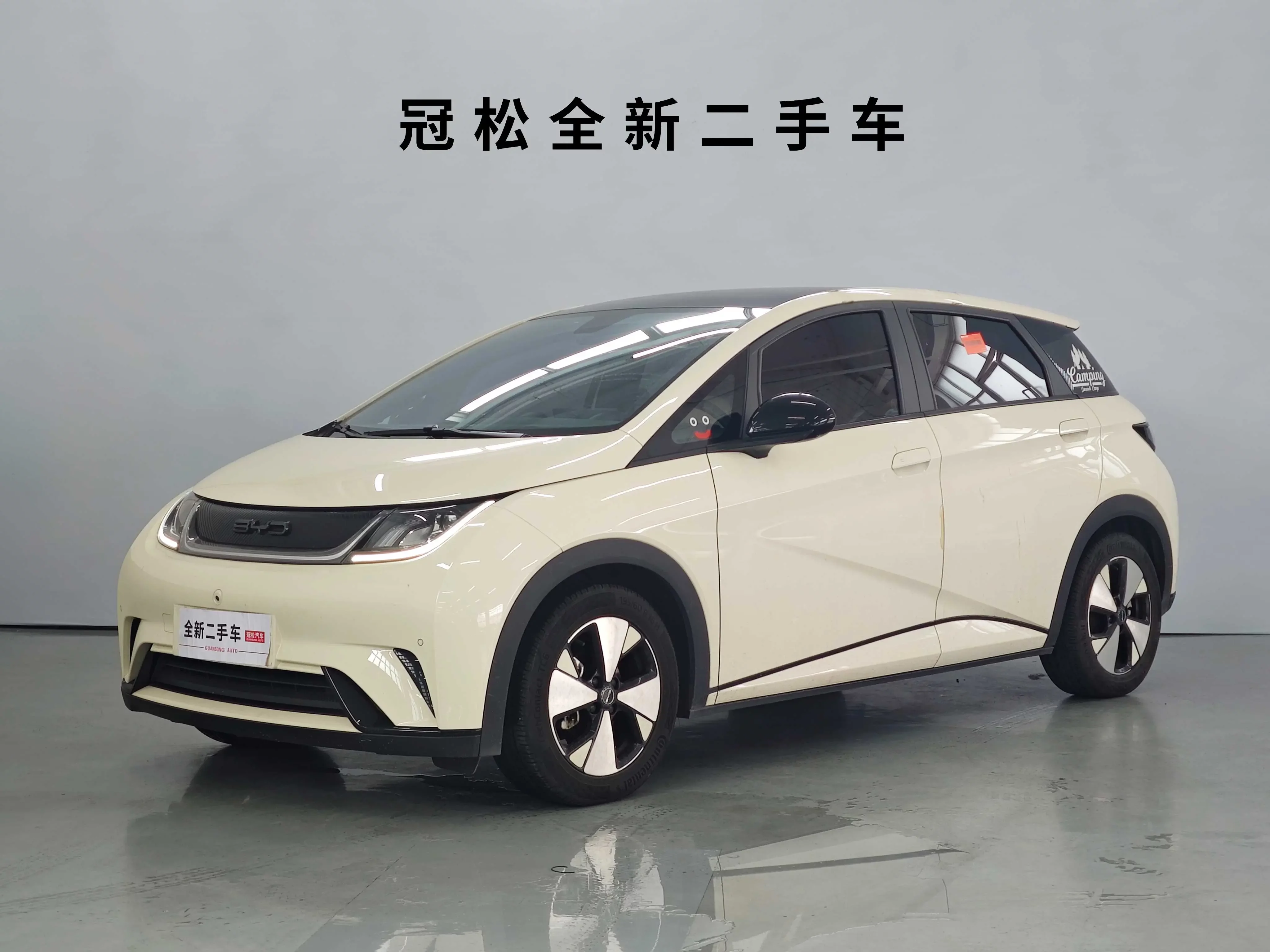 BYD dolphin