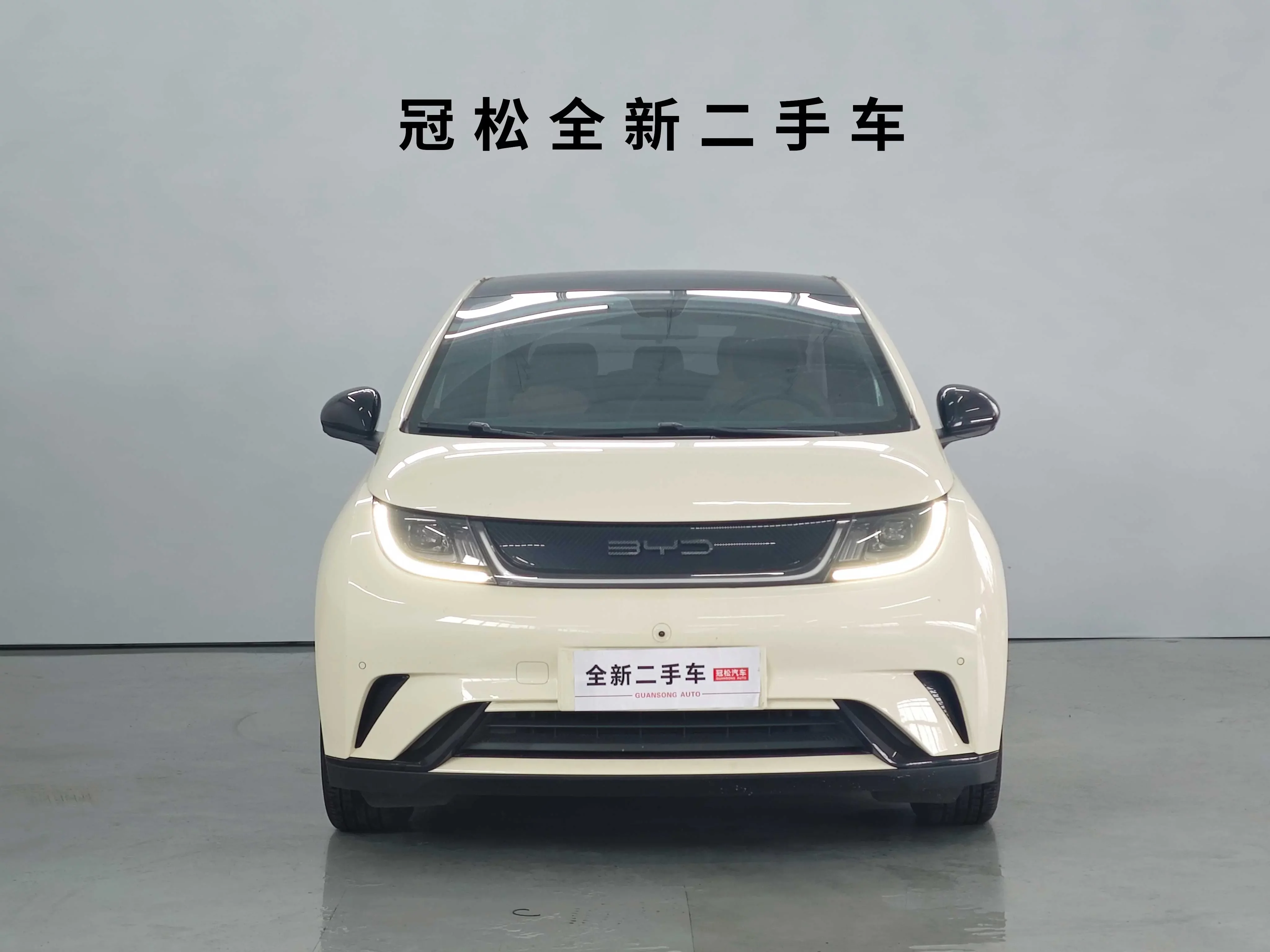 BYD dolphin