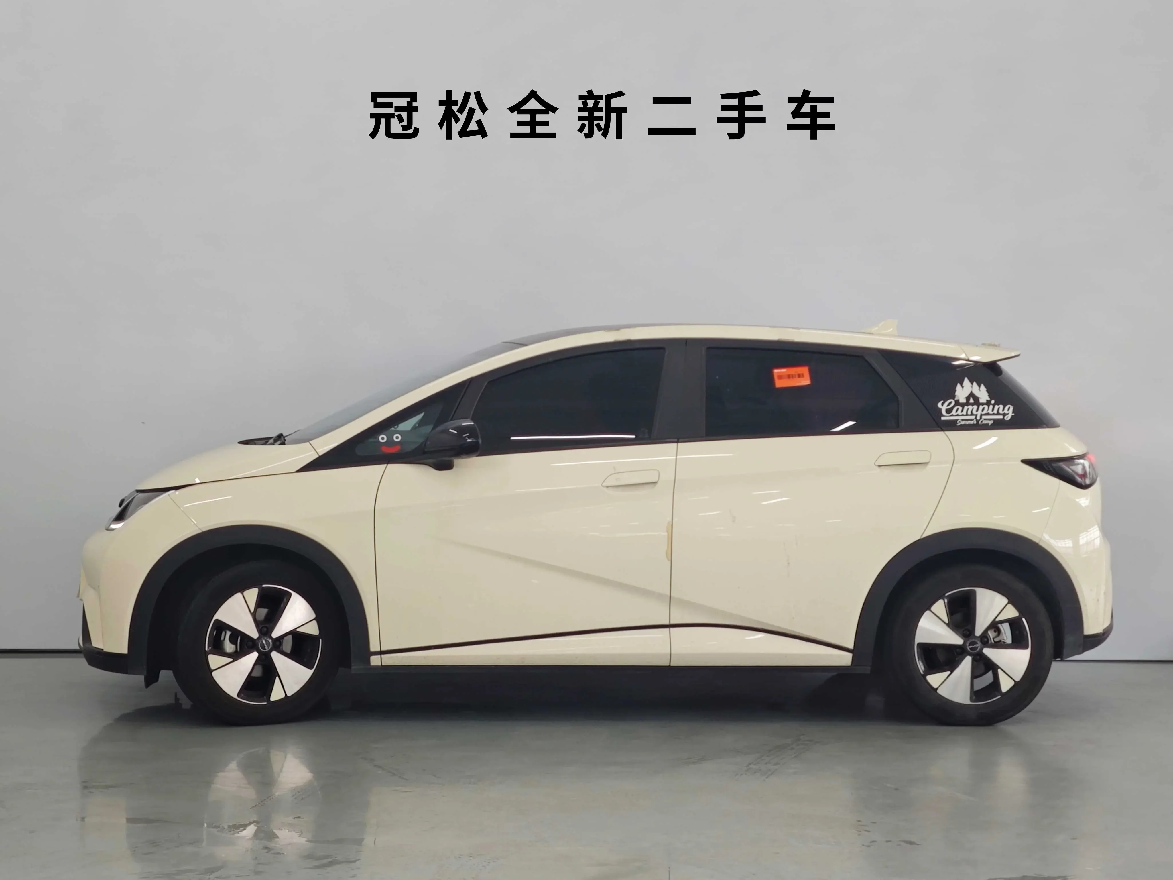 BYD dolphin