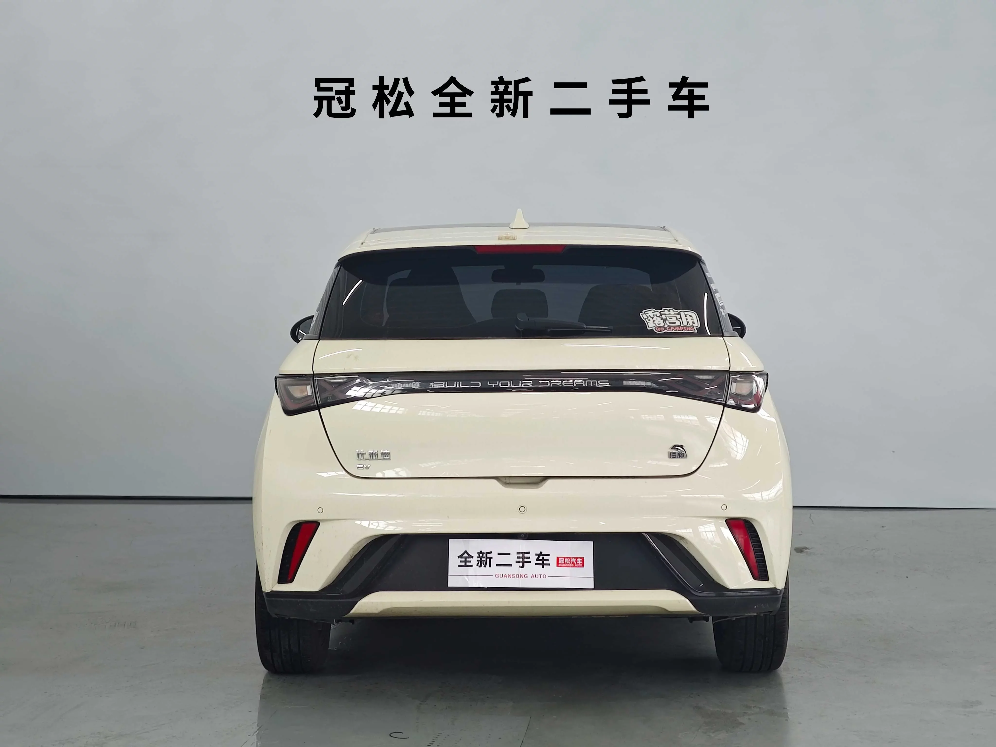 BYD dolphin
